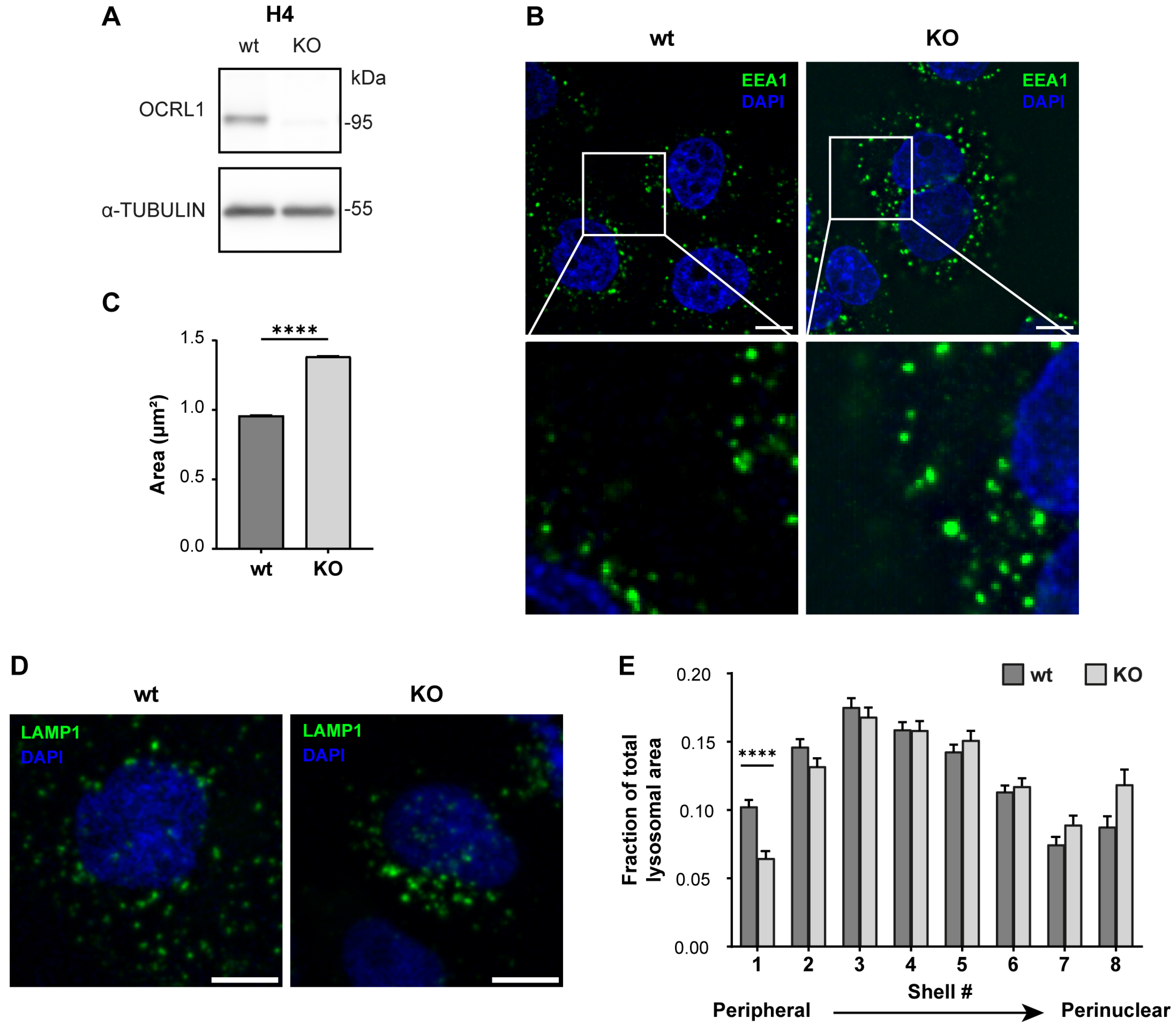 Biomolecules 14 00799 g001