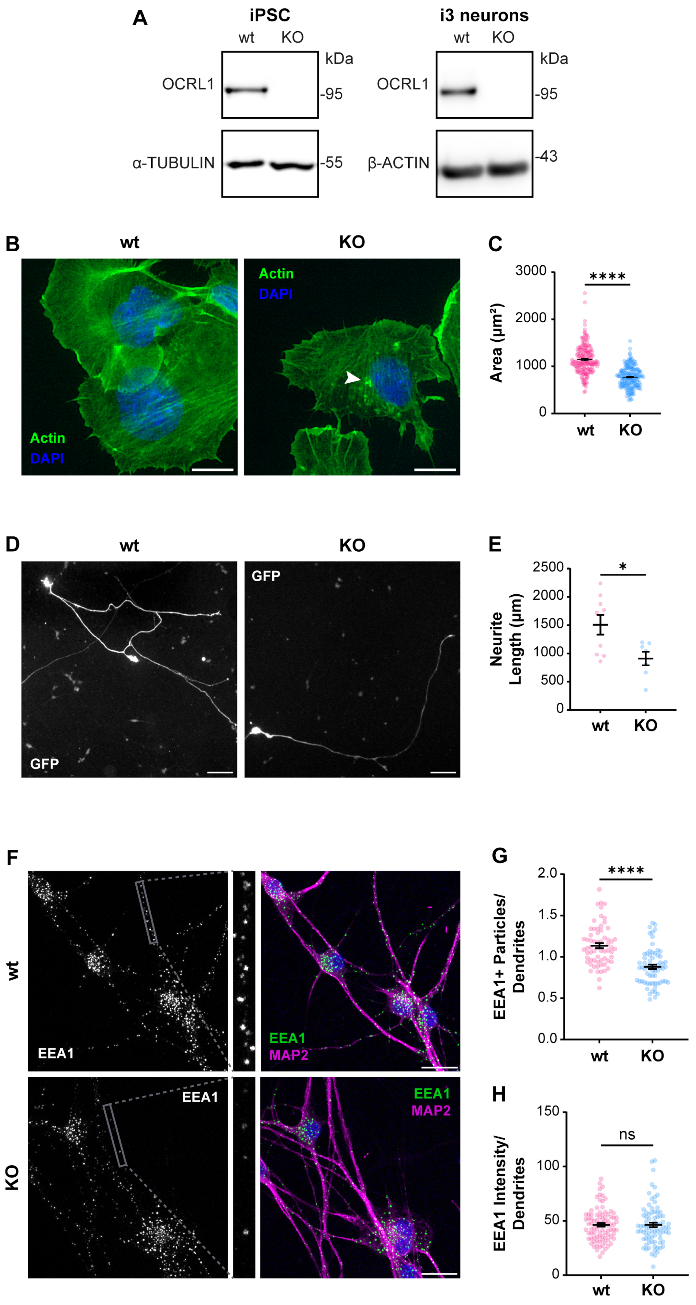 Biomolecules 14 00799 g002