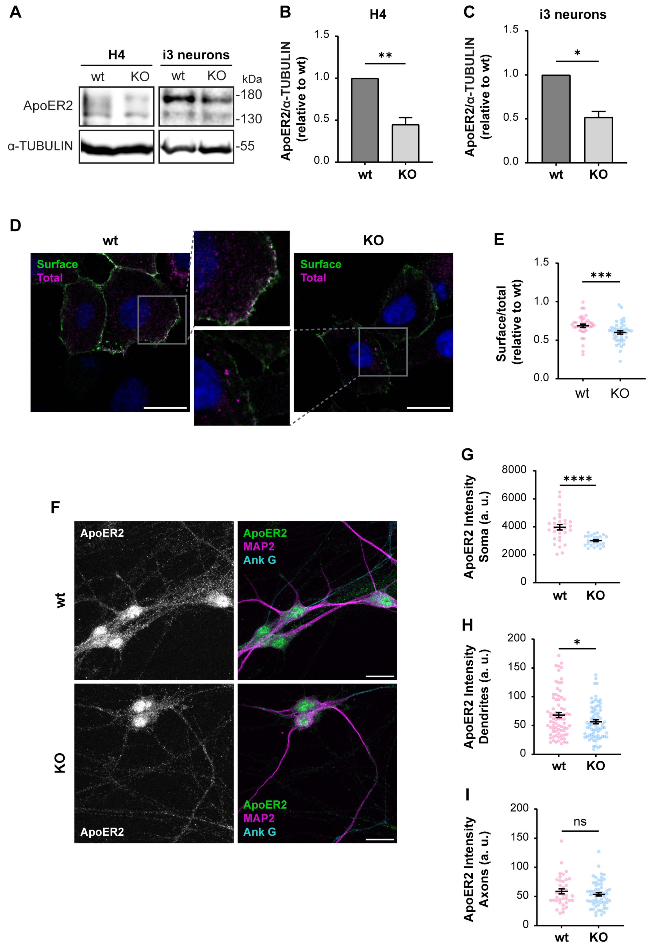 Biomolecules 14 00799 g003