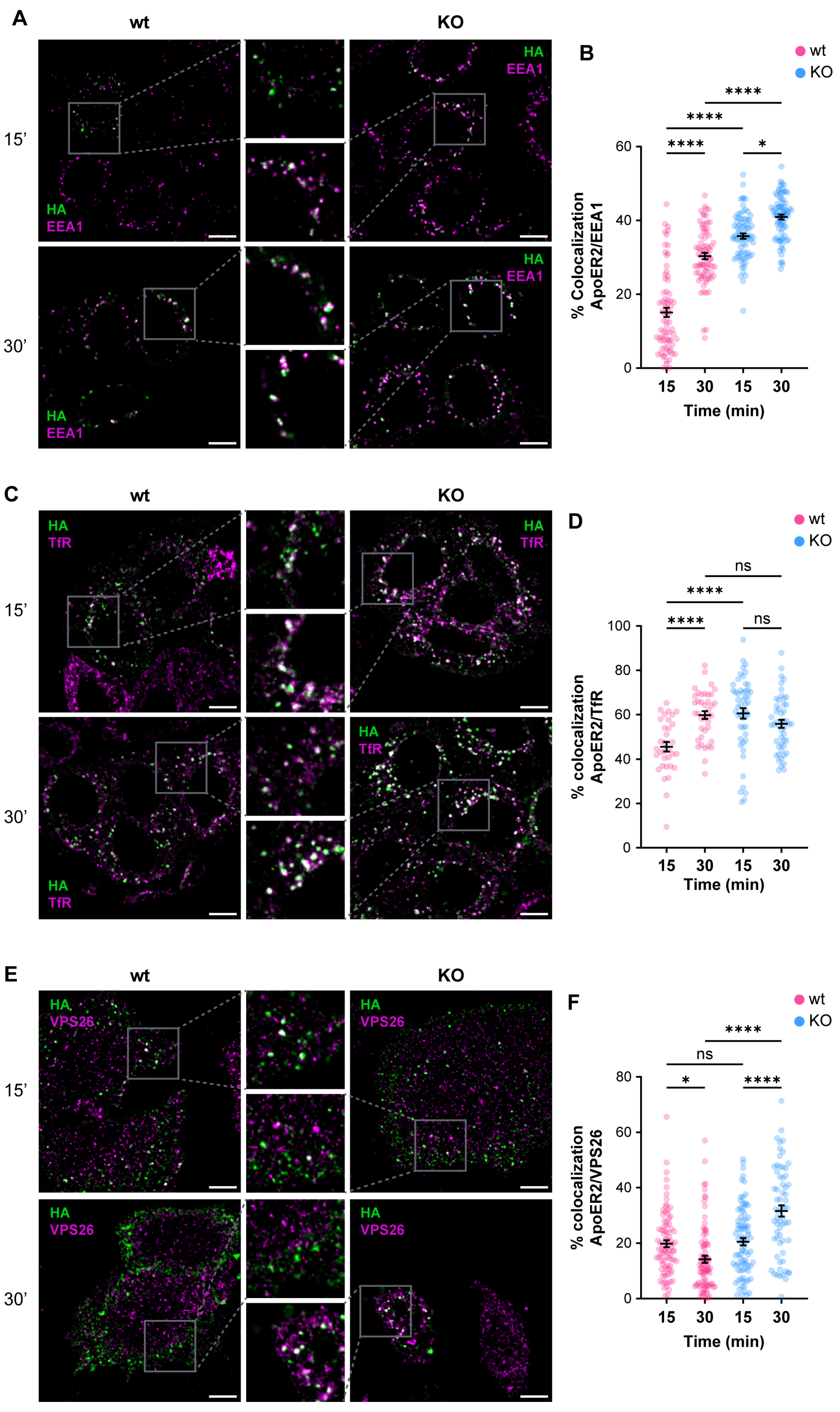 Biomolecules 14 00799 g004