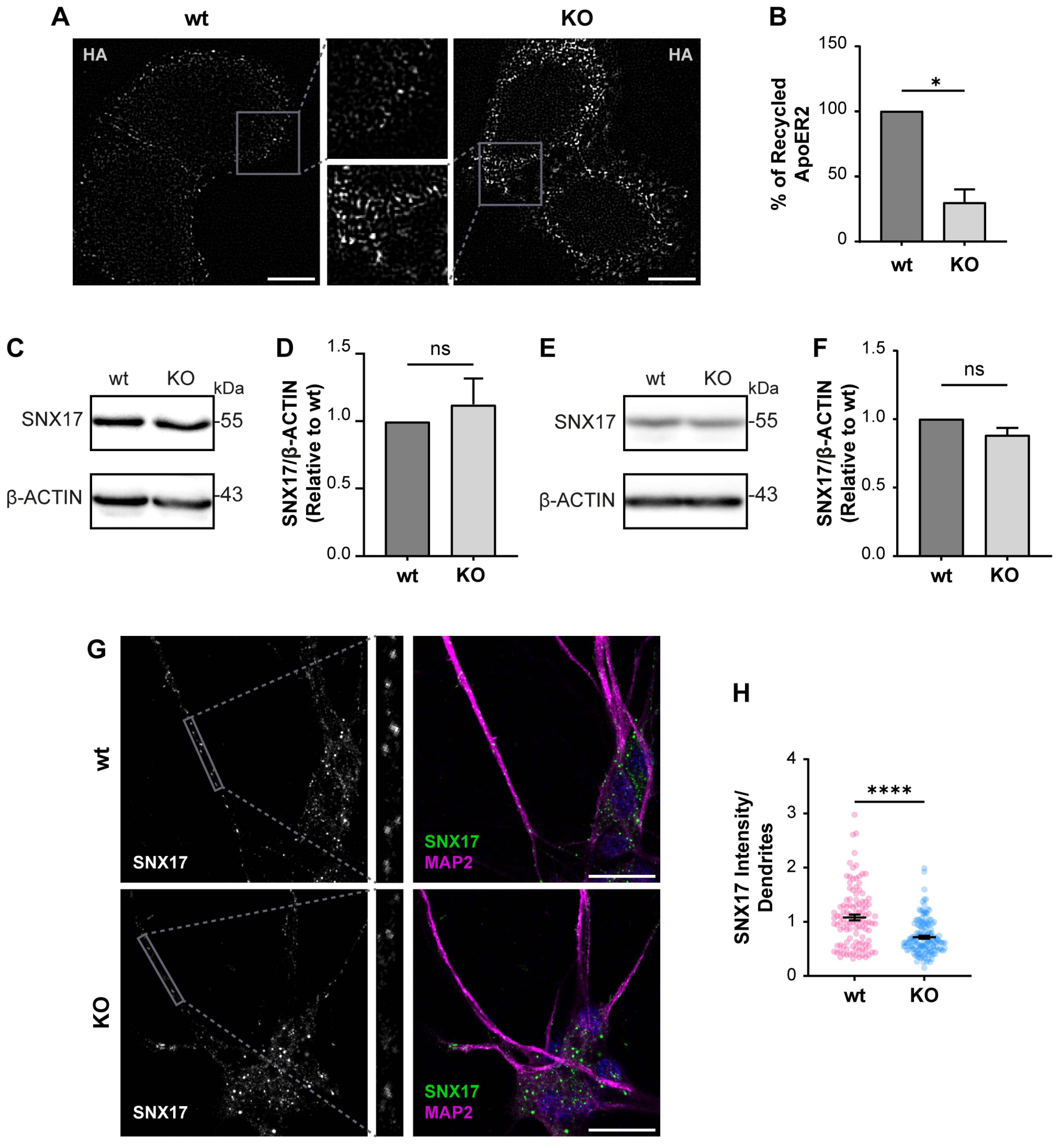 Biomolecules 14 00799 g005