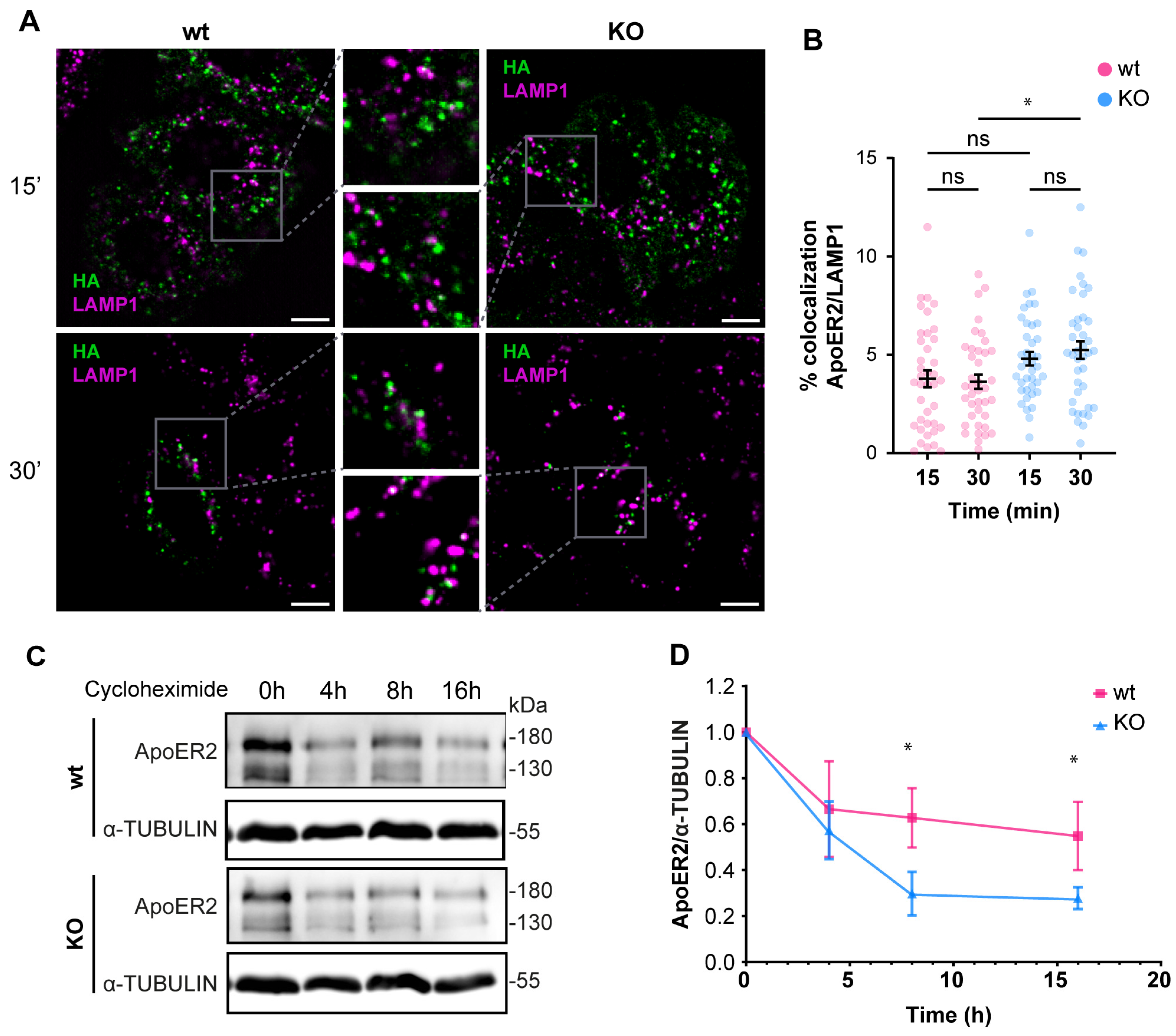 Biomolecules 14 00799 g006