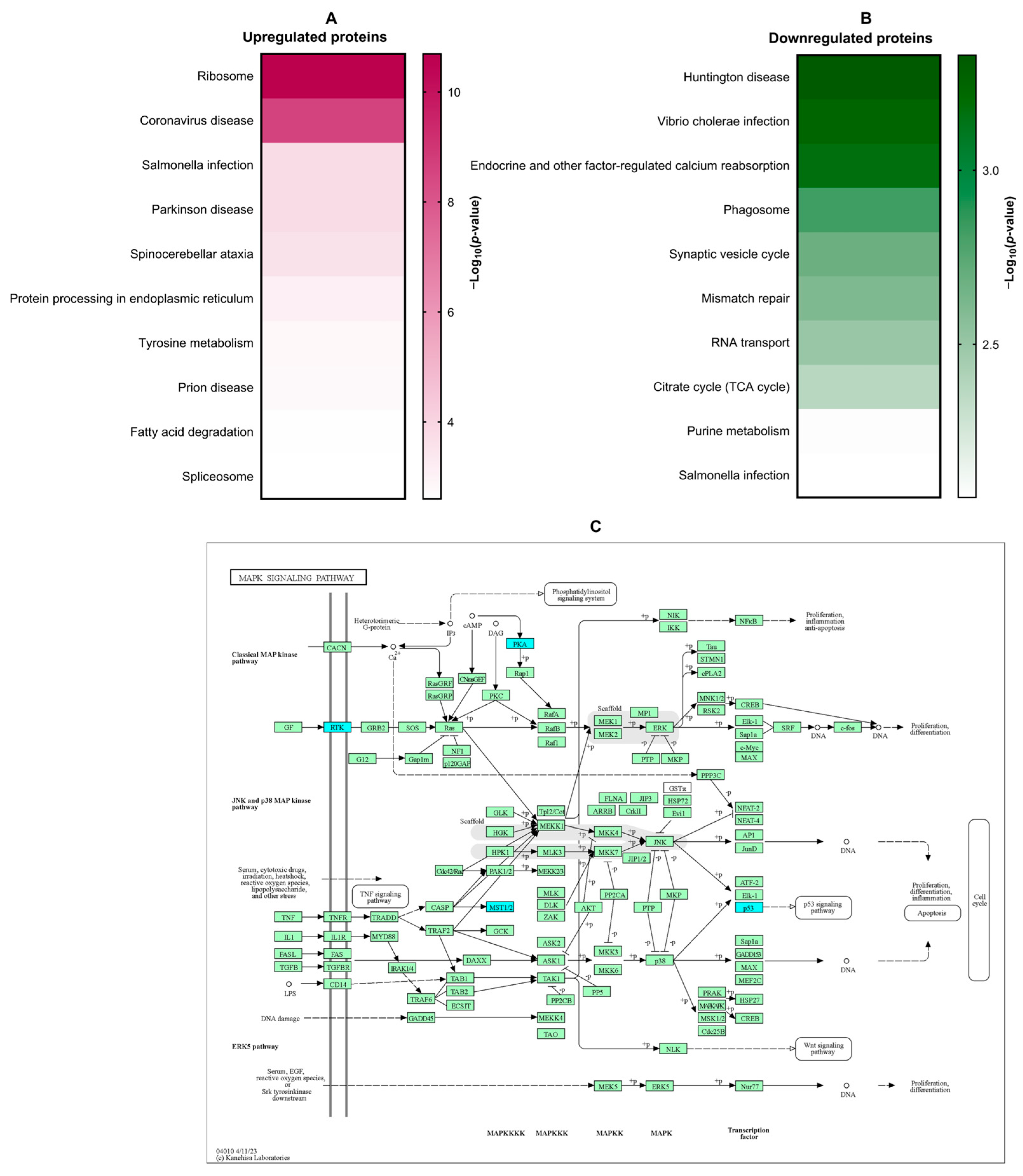 Biomolecules 14 00800 g004 Biomolecules 14 00800 g004