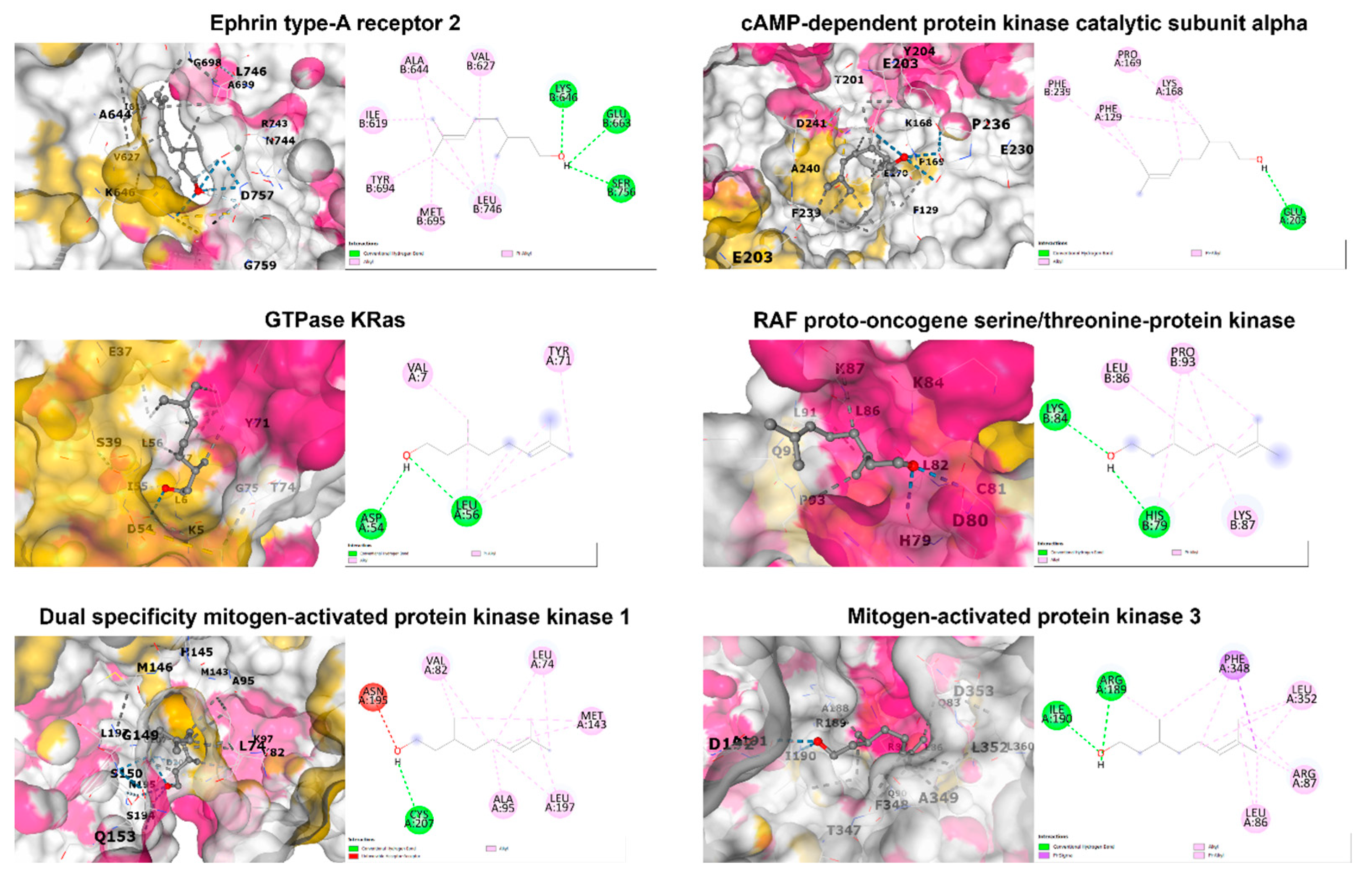 Biomolecules 14 00800 g005 Biomolecules 14 00800 g005