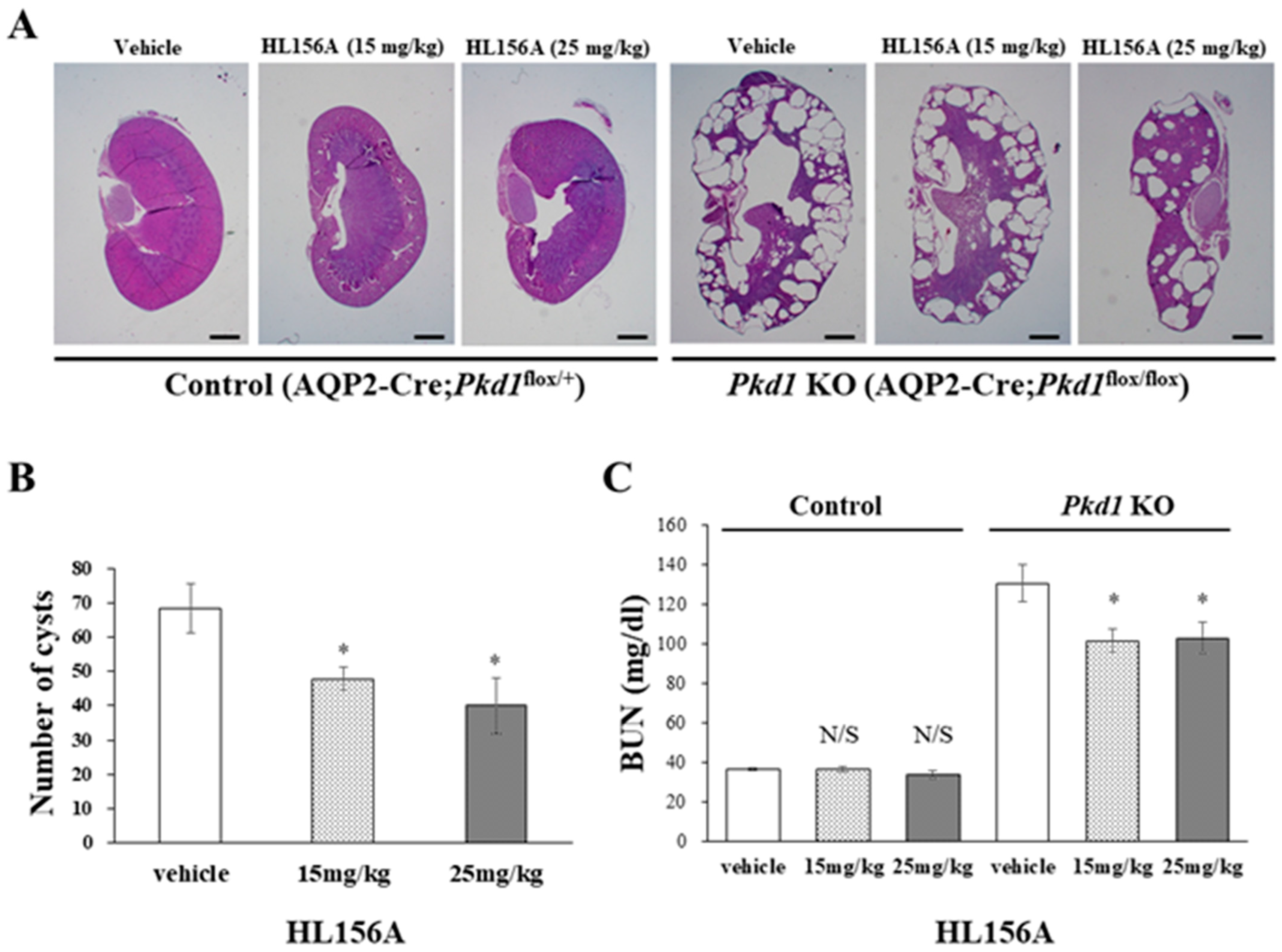 Biomolecules 14 00806 g004 Biomolecules 14 00806 g004