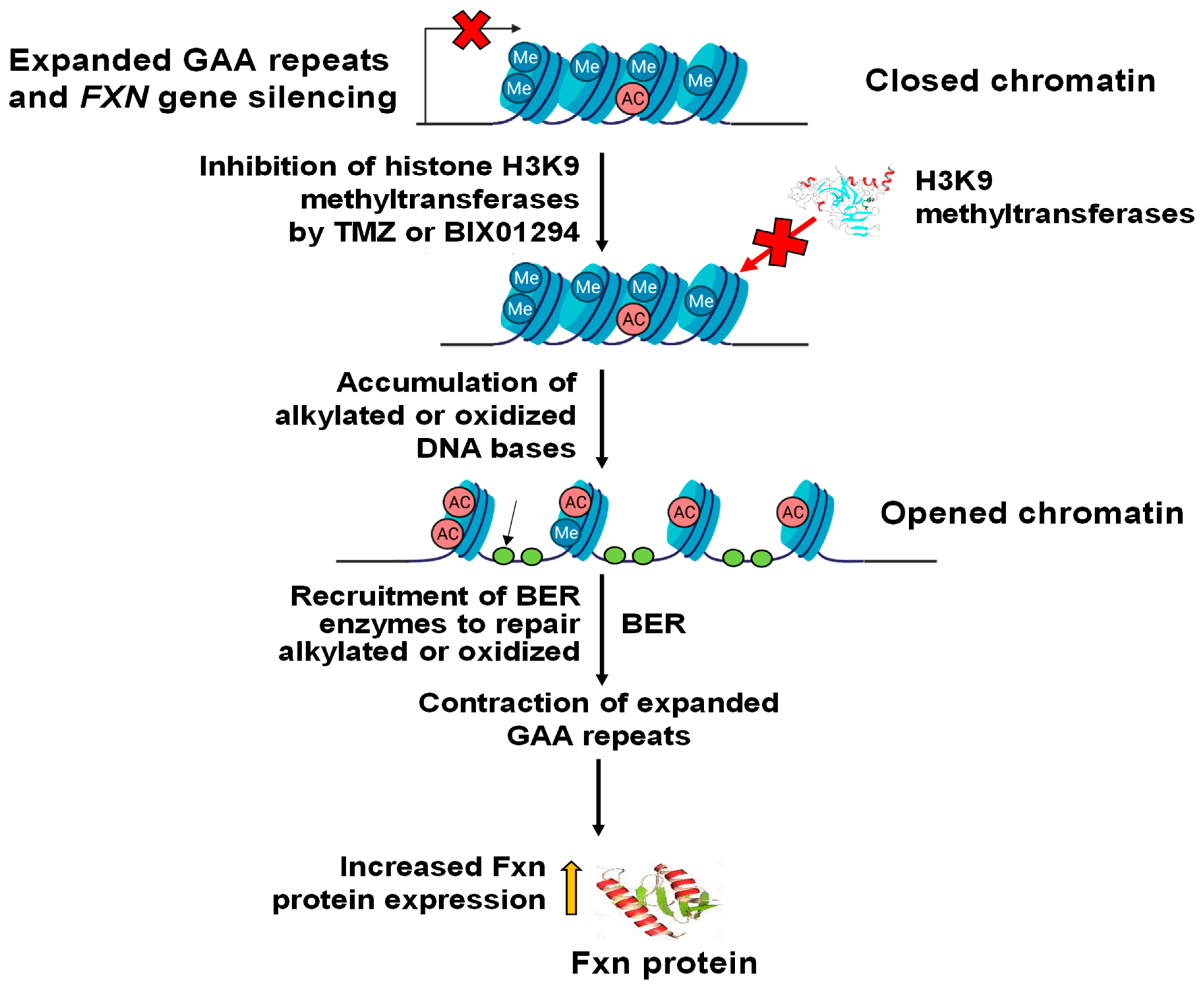 Biomolecules 14 00809 g006