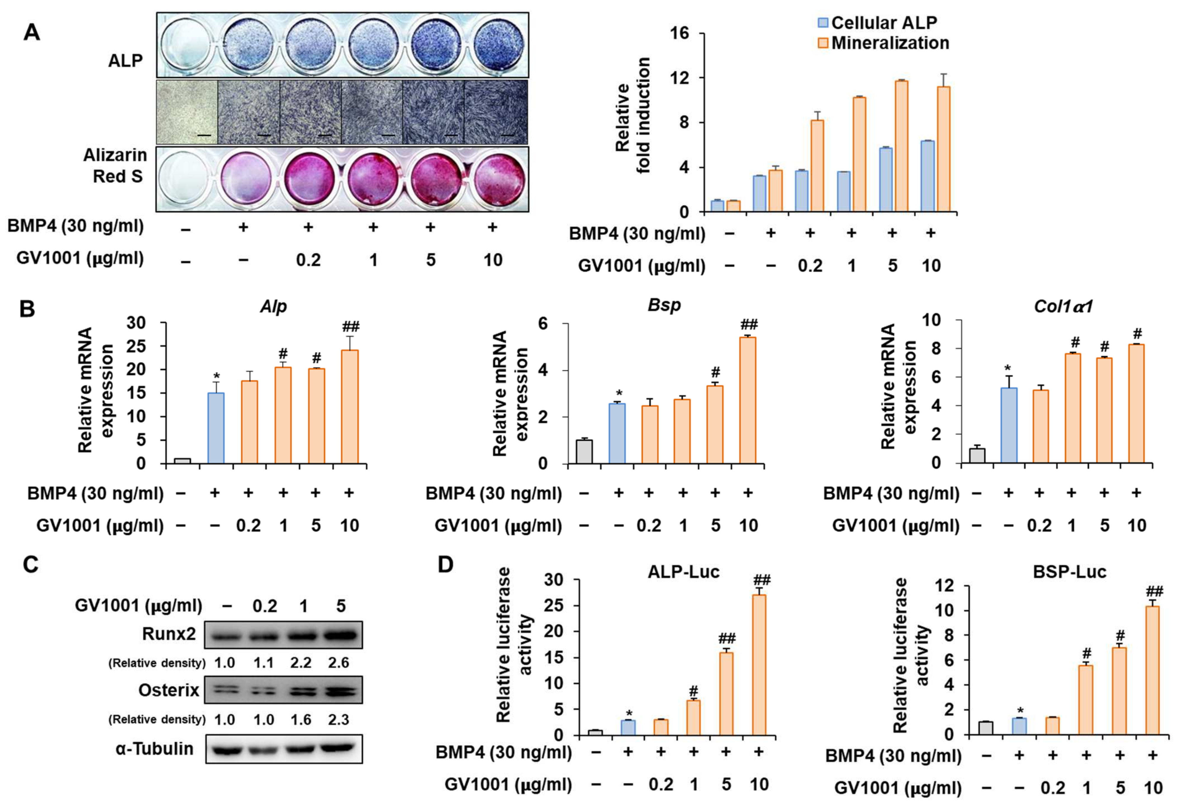 Biomolecules 14 00812 g002