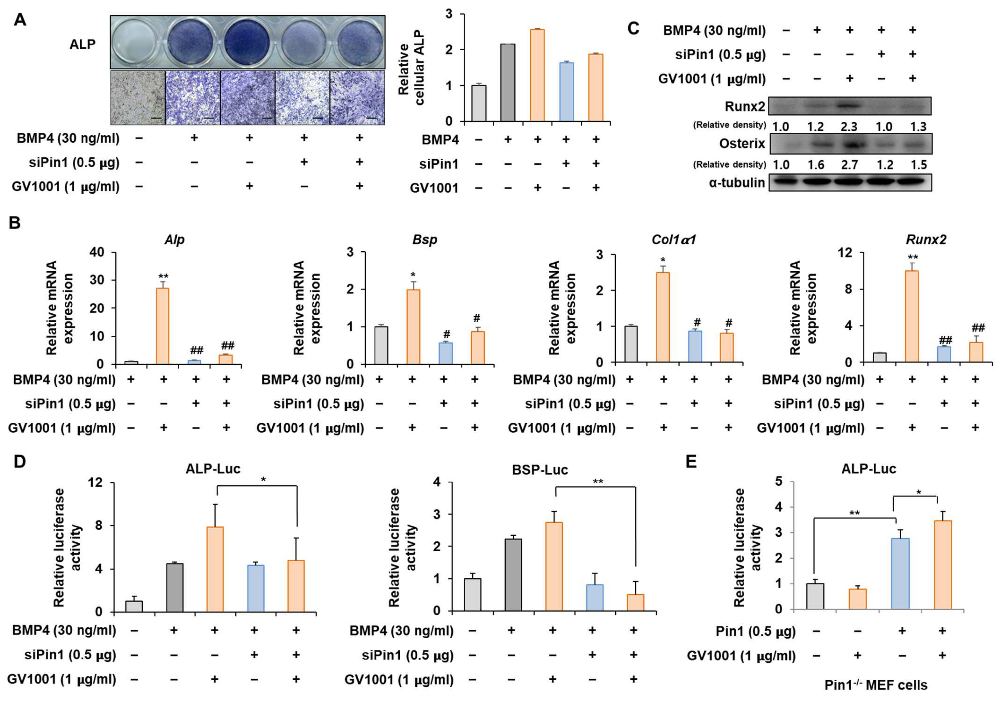Biomolecules 14 00812 g003