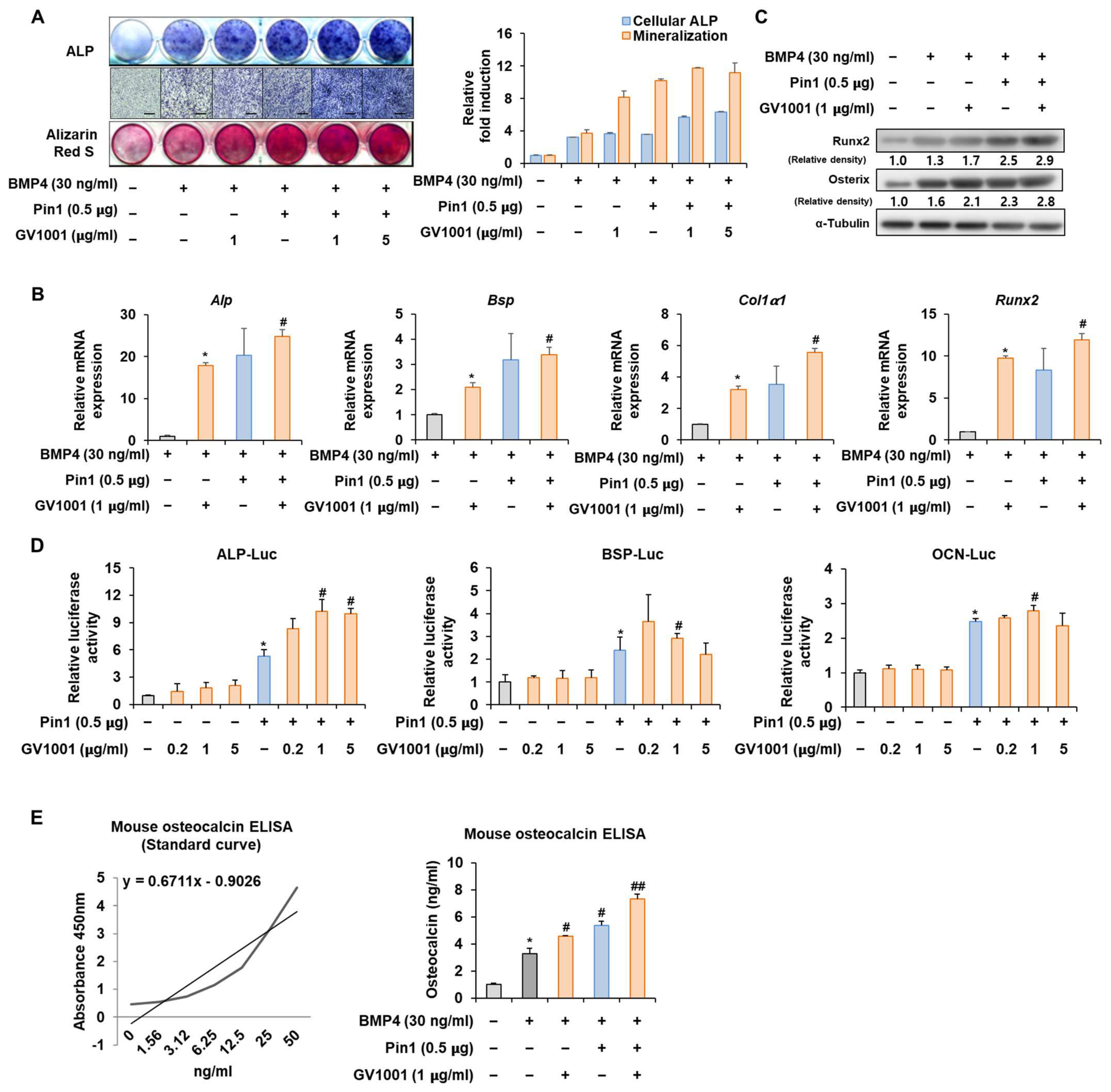 Biomolecules 14 00812 g004