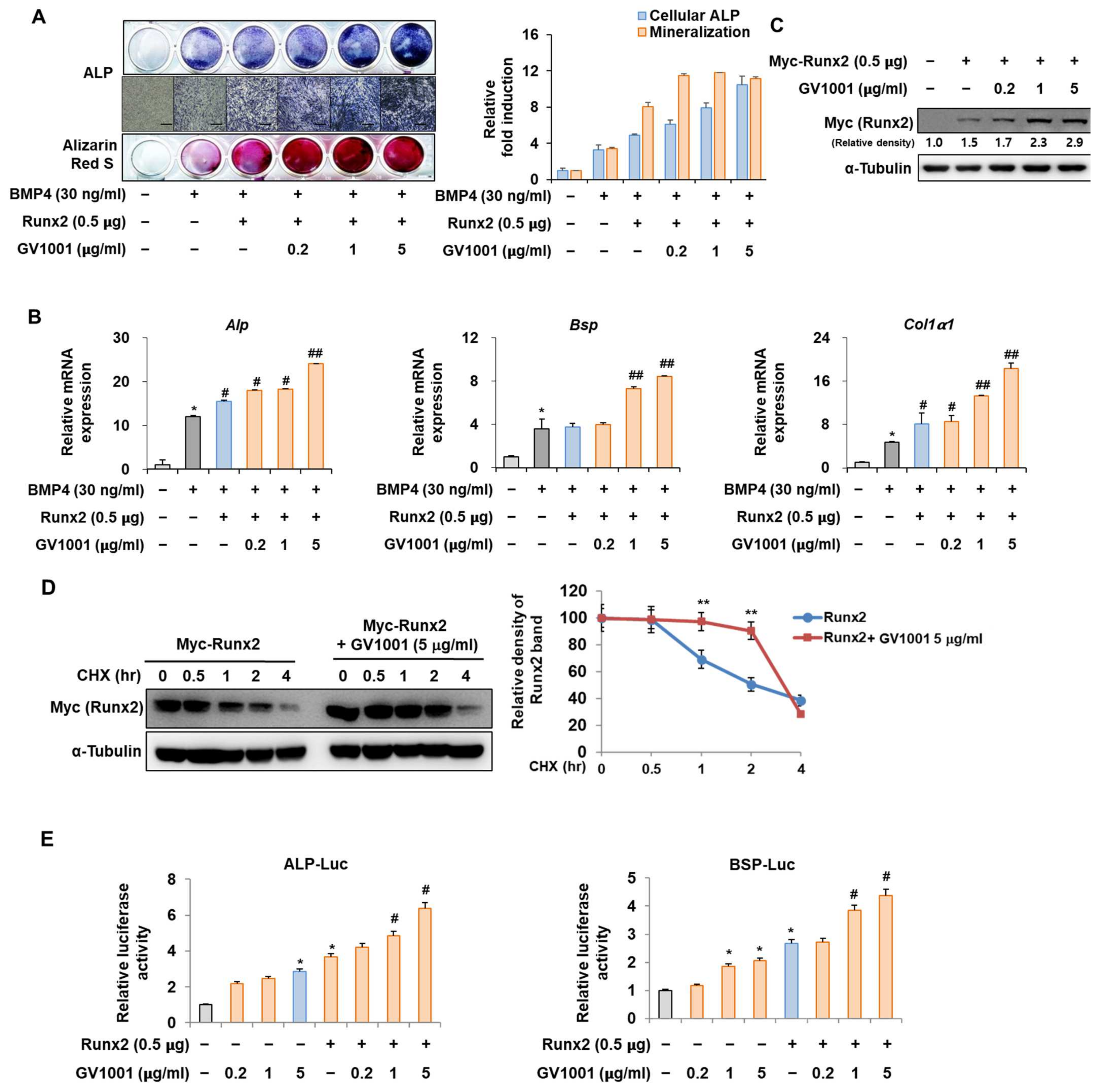 Biomolecules 14 00812 g005