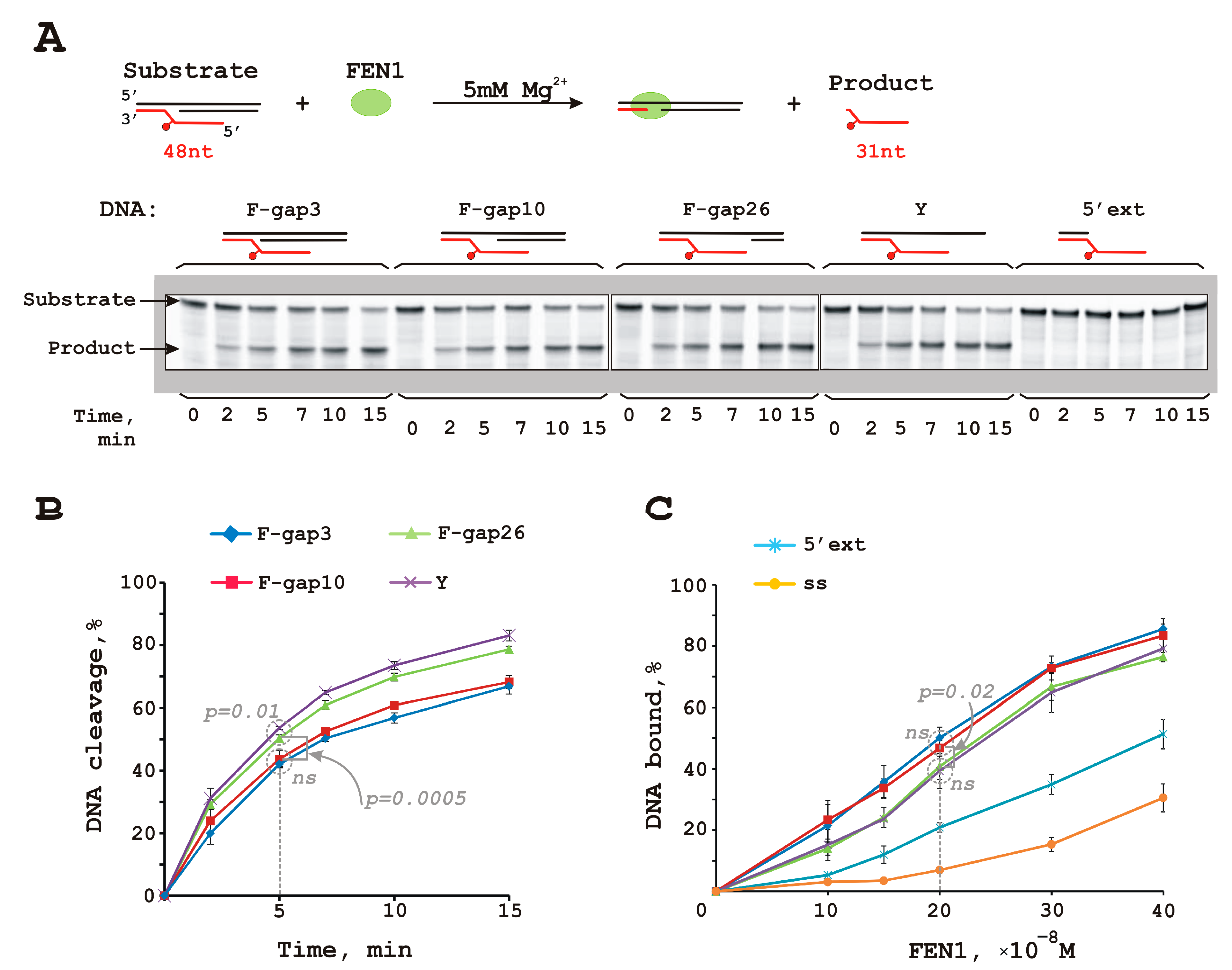 Biomolecules 14 00814 g001 Biomolecules 14 00814 g001