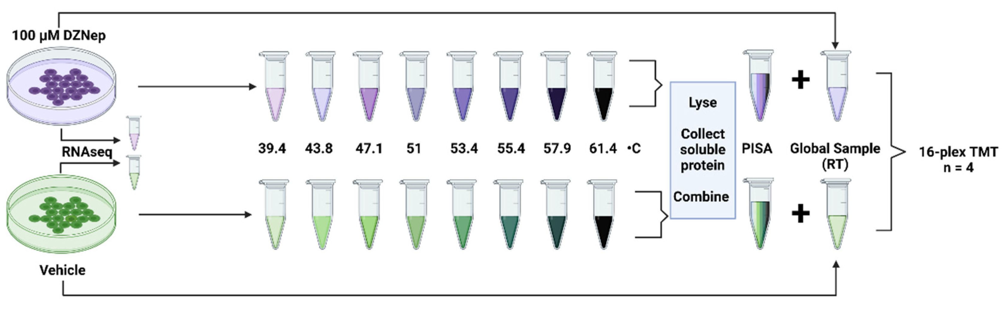 Biomolecules 14 00817 g001