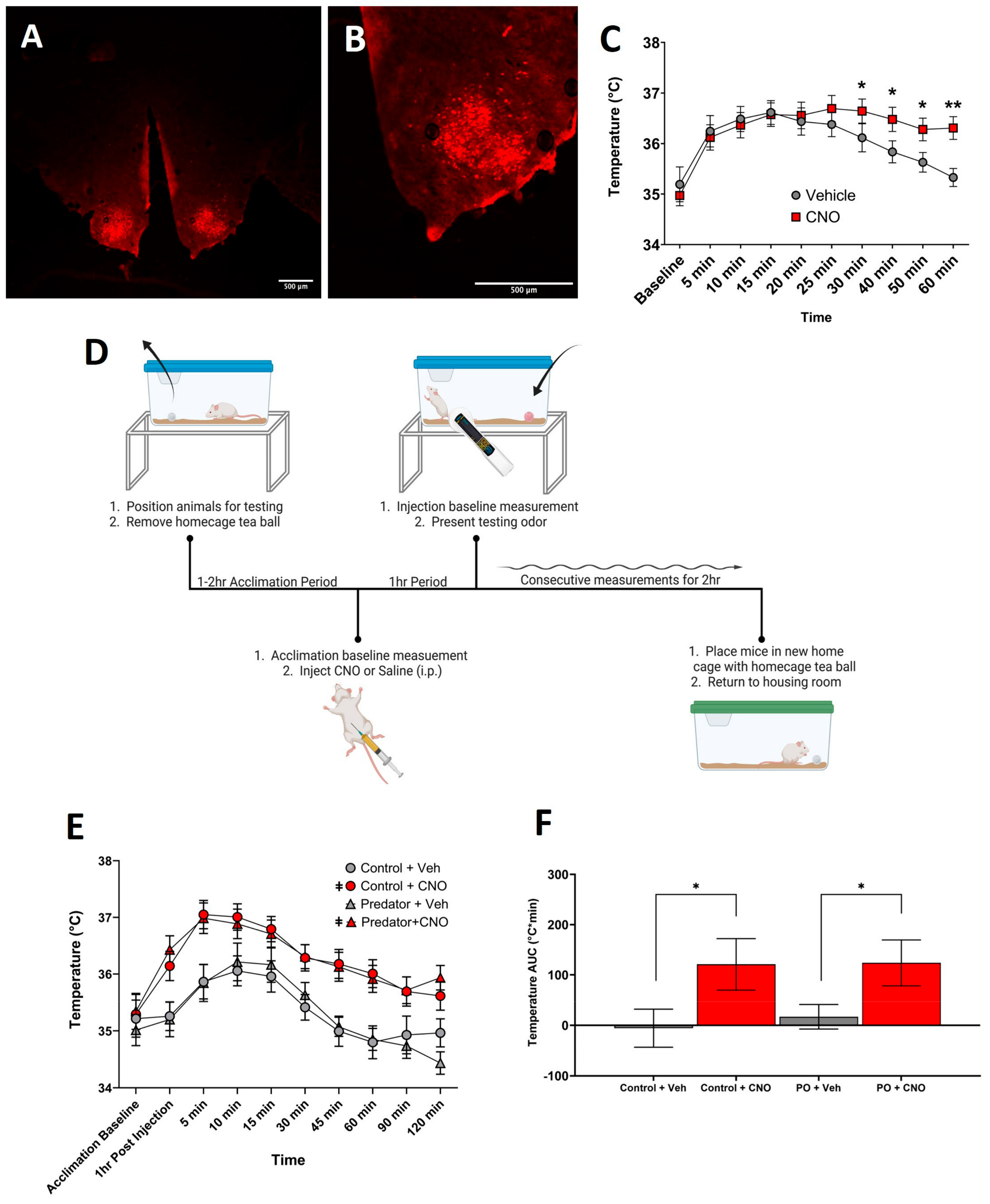 Biomolecules 14 00821 g001