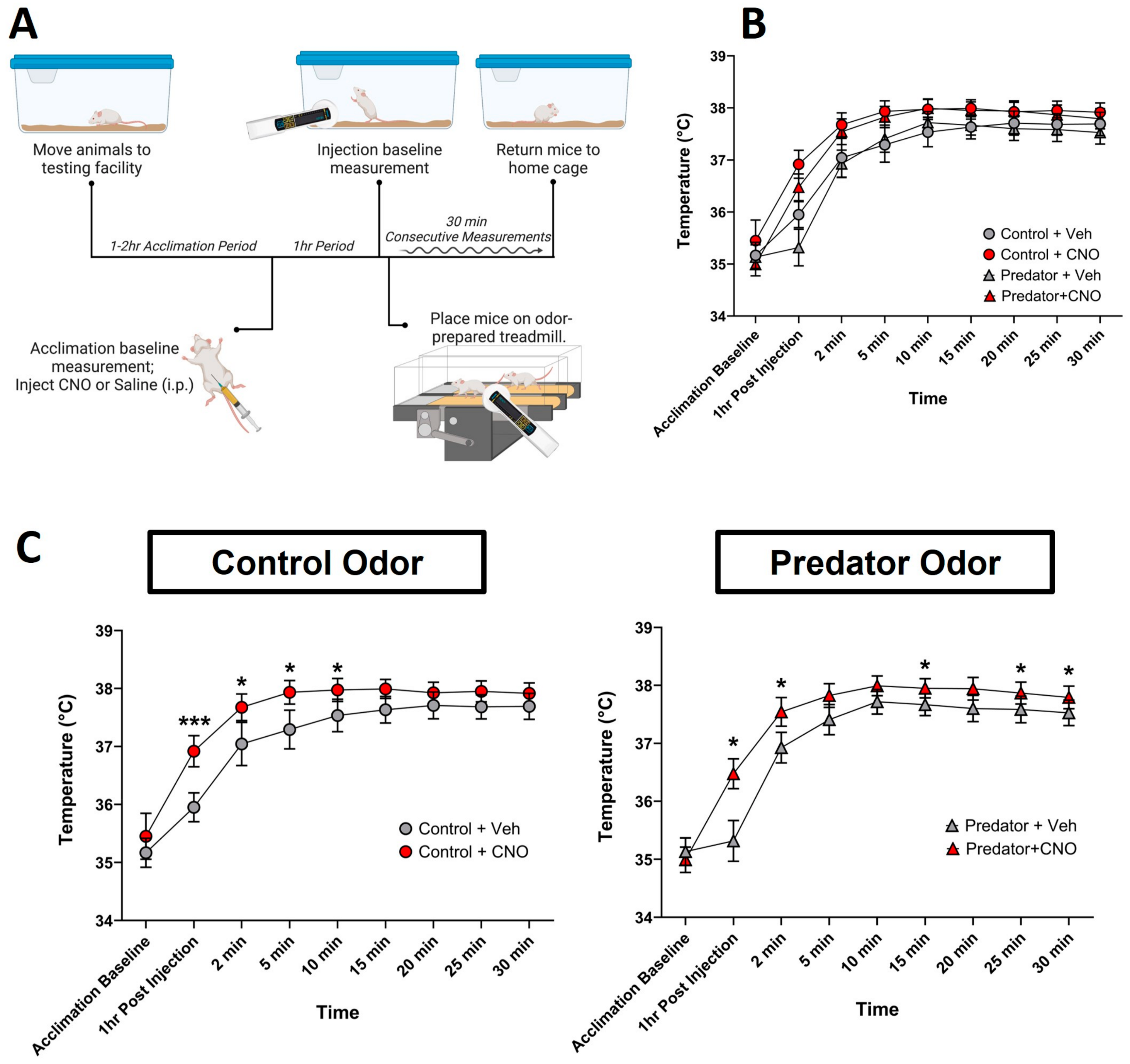 Biomolecules 14 00821 g002
