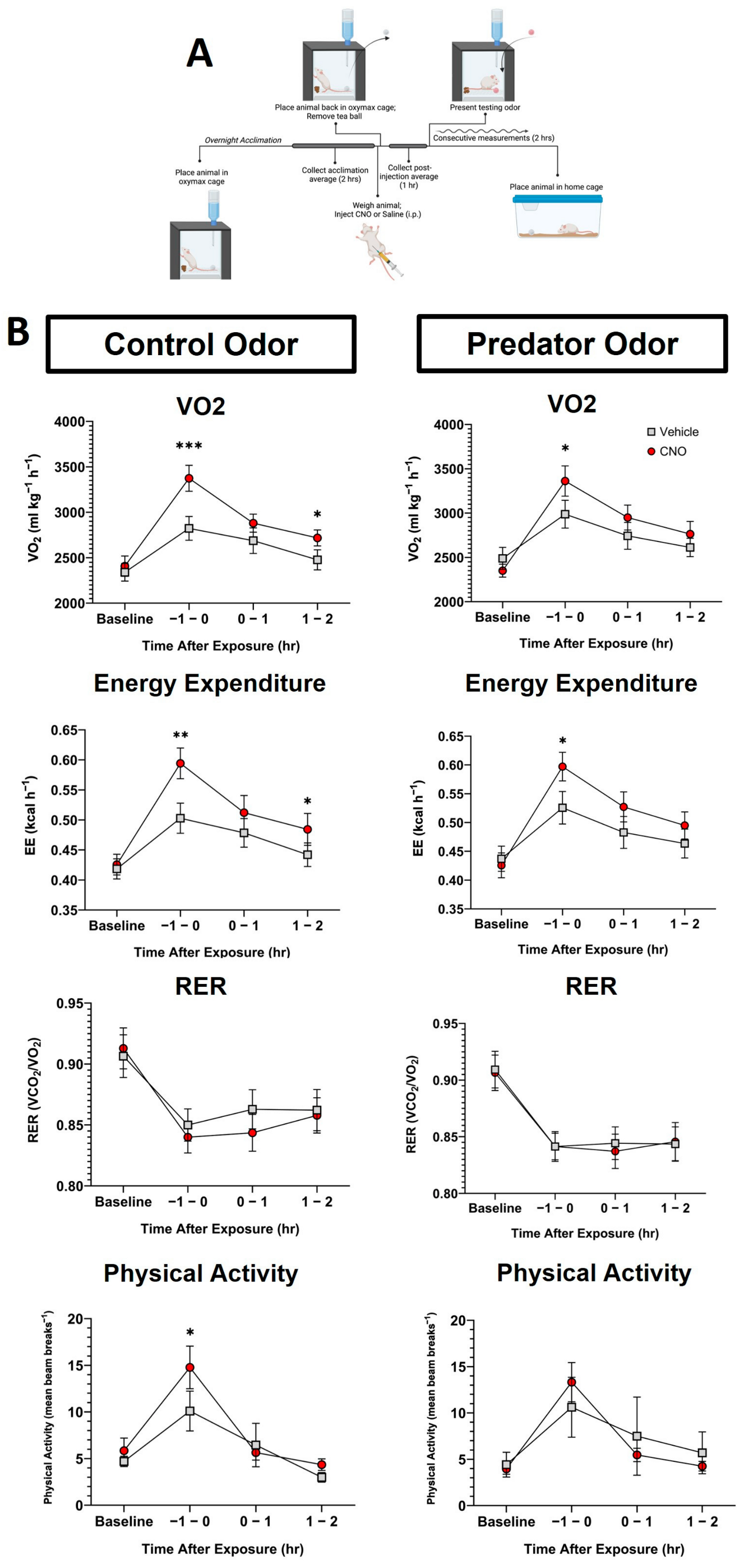 Biomolecules 14 00821 g003