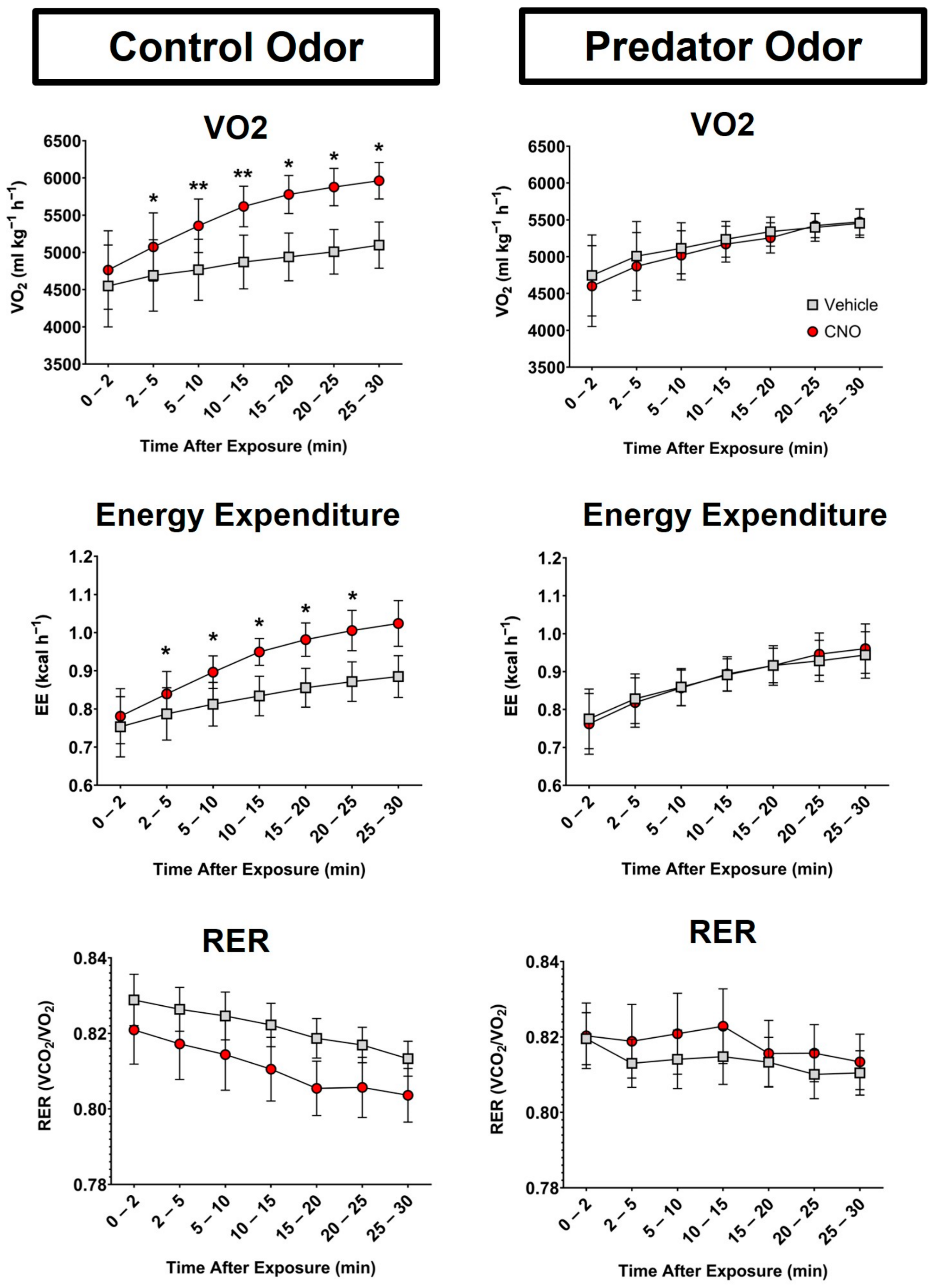Biomolecules 14 00821 g004