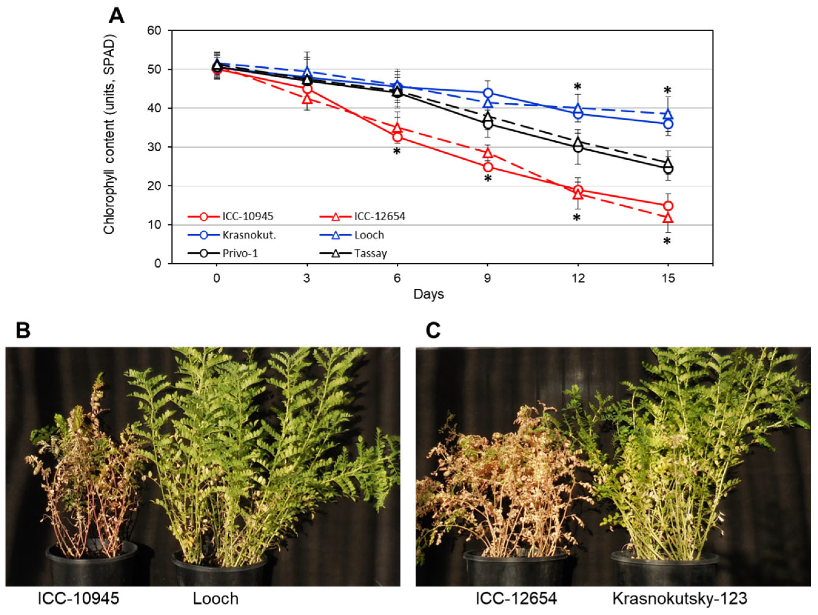 Biomolecules 14 00823 g001