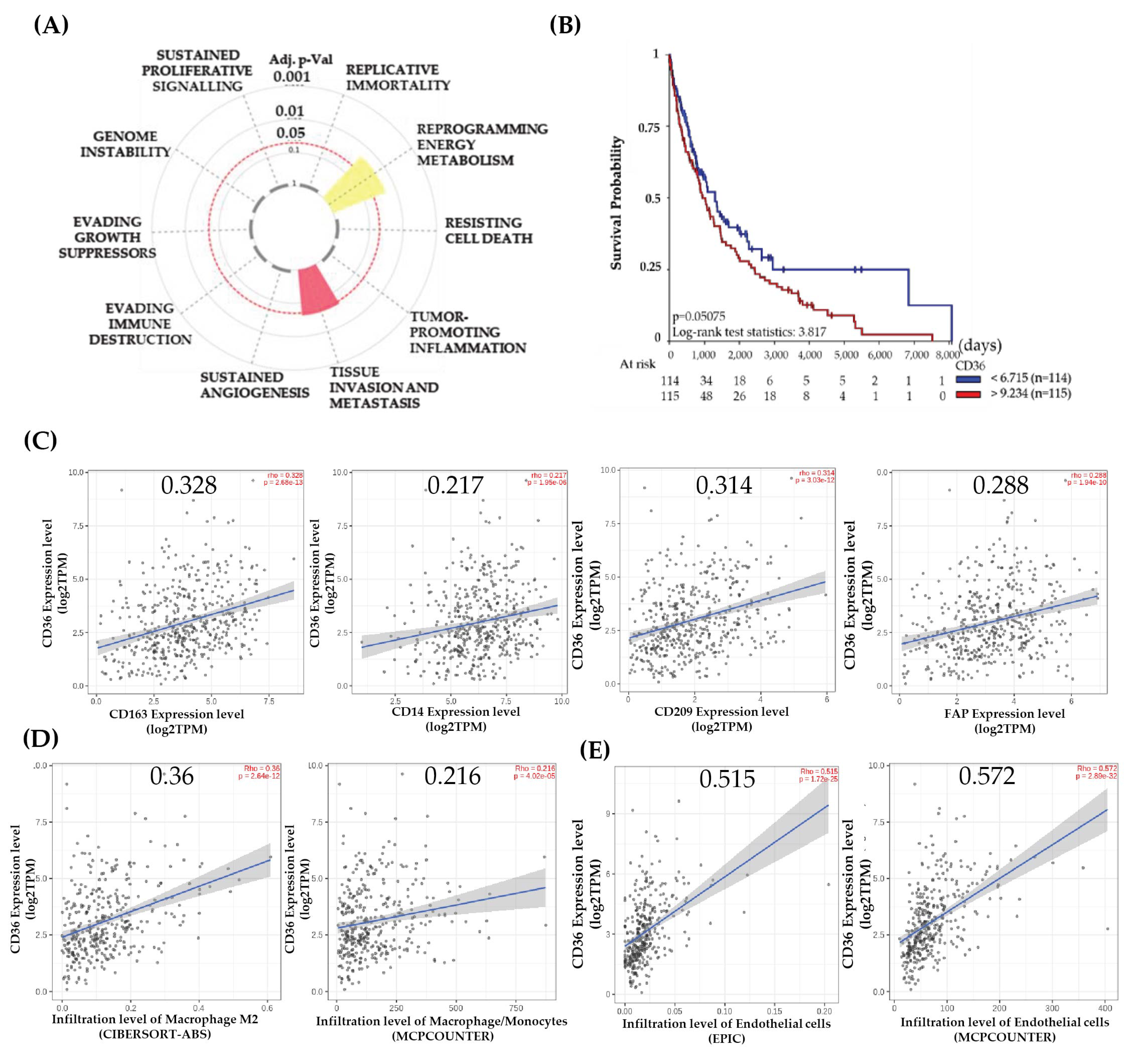 Biomolecules 14 00837 g001