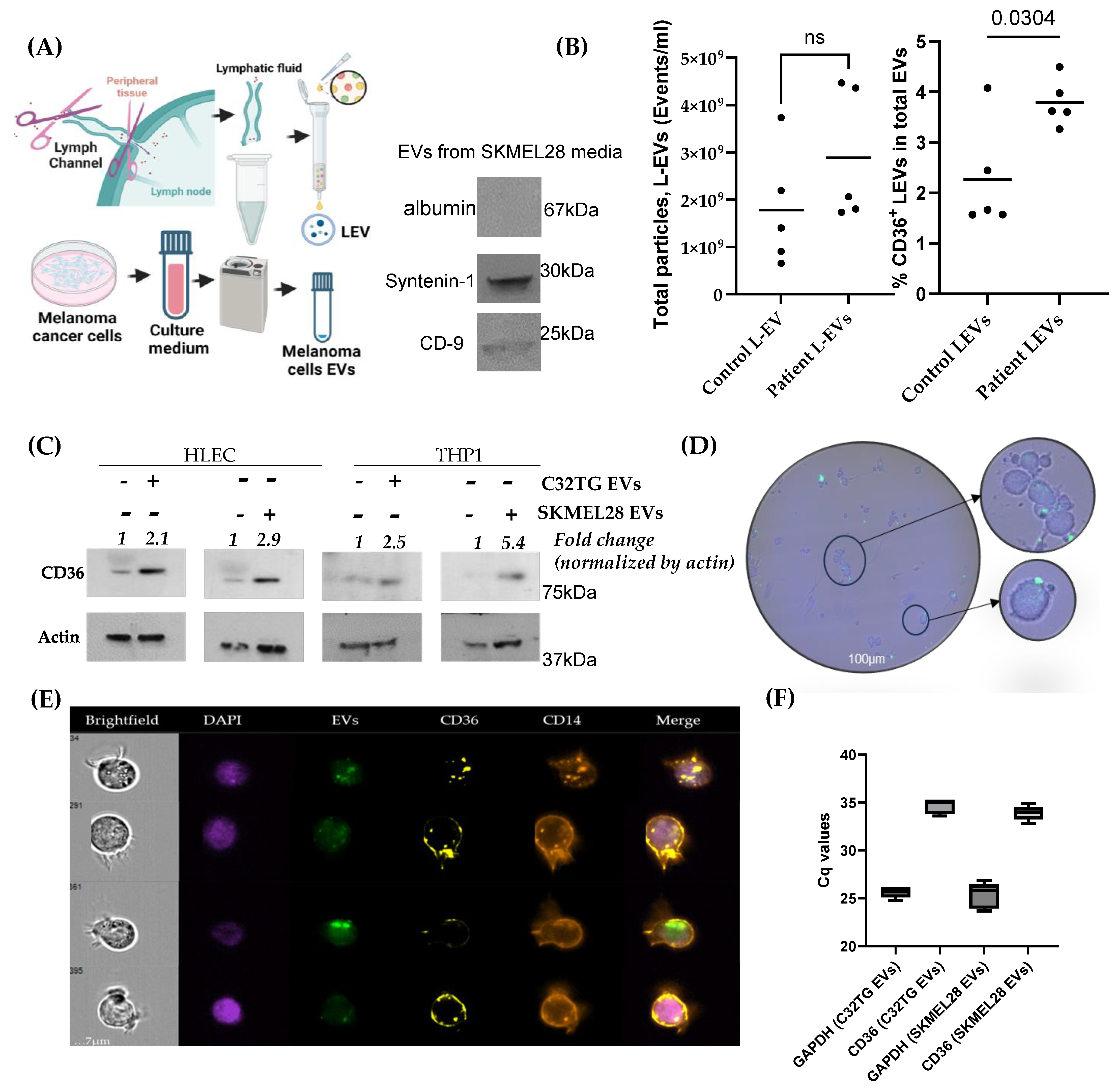 Biomolecules 14 00837 g002
