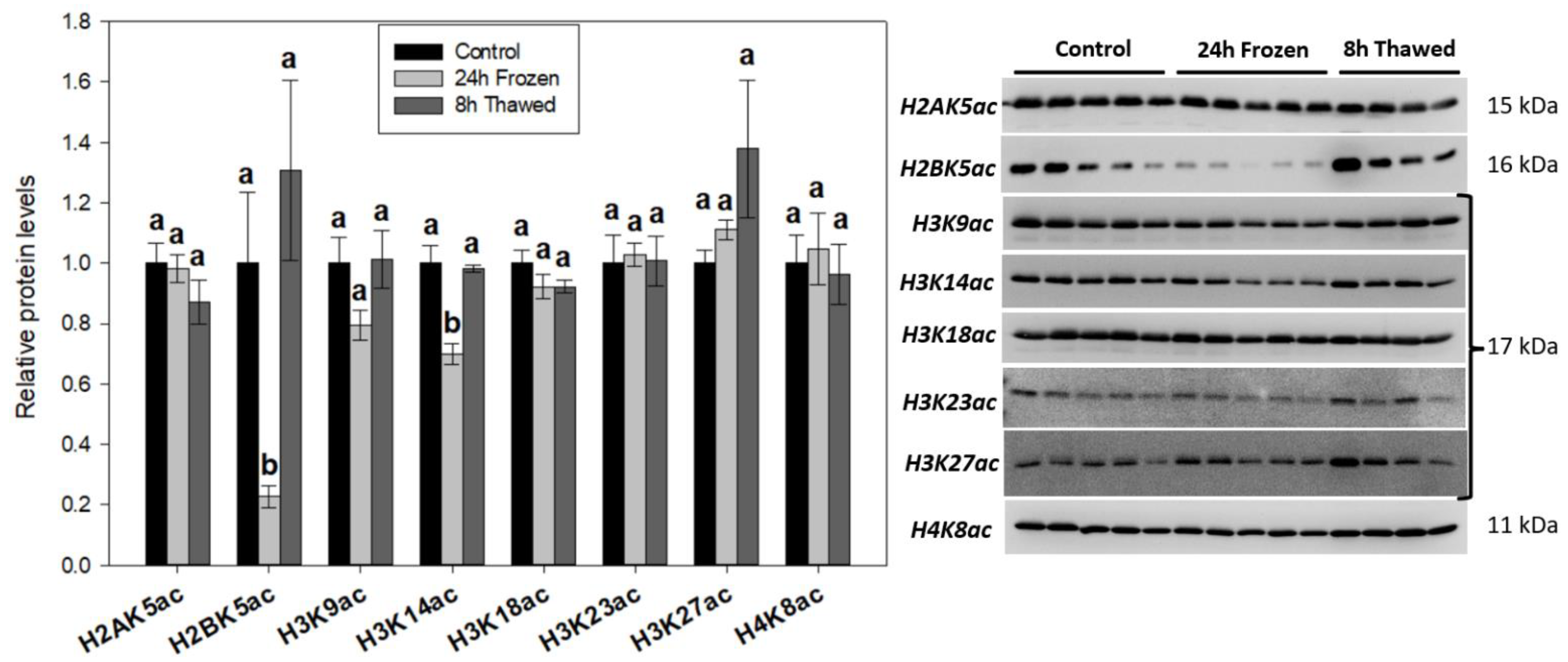 Biomolecules 14 00839 g002