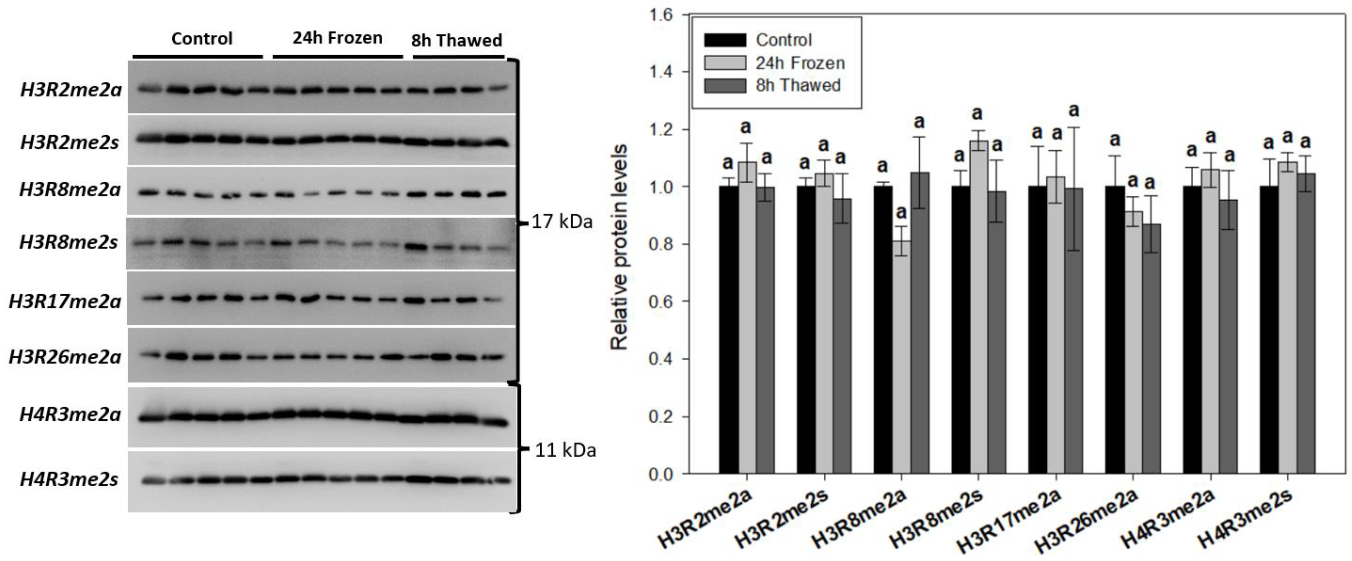 Biomolecules 14 00839 g004