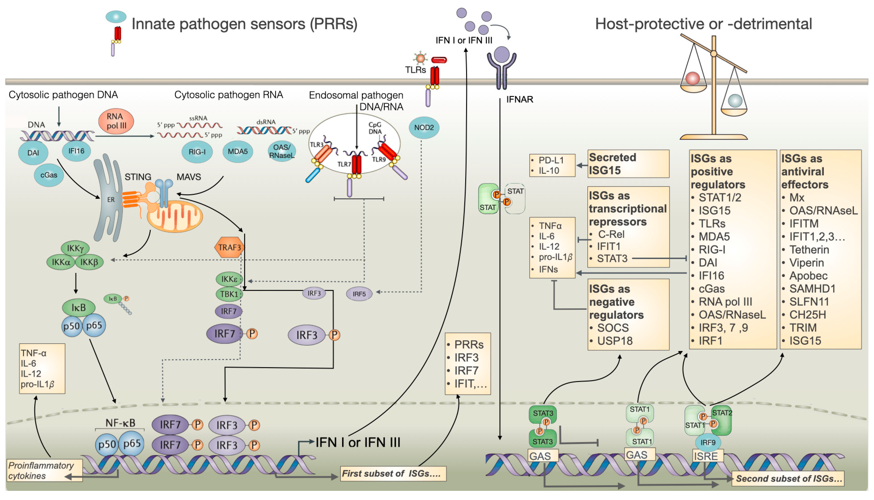 Biomolecules 14 00848 g002 Biomolecules 14 00848 g002