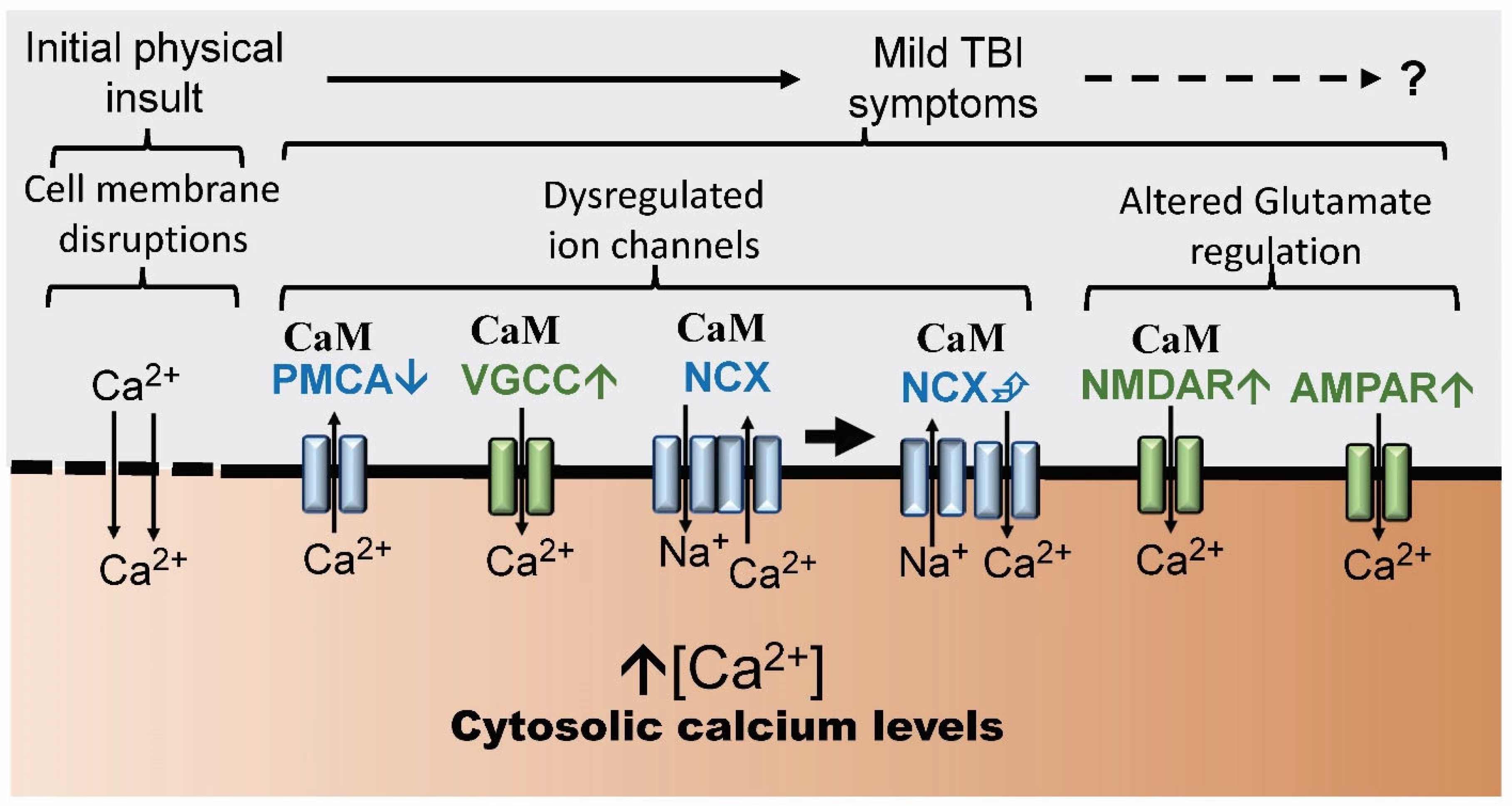 Biomolecules 14 00853 g003
