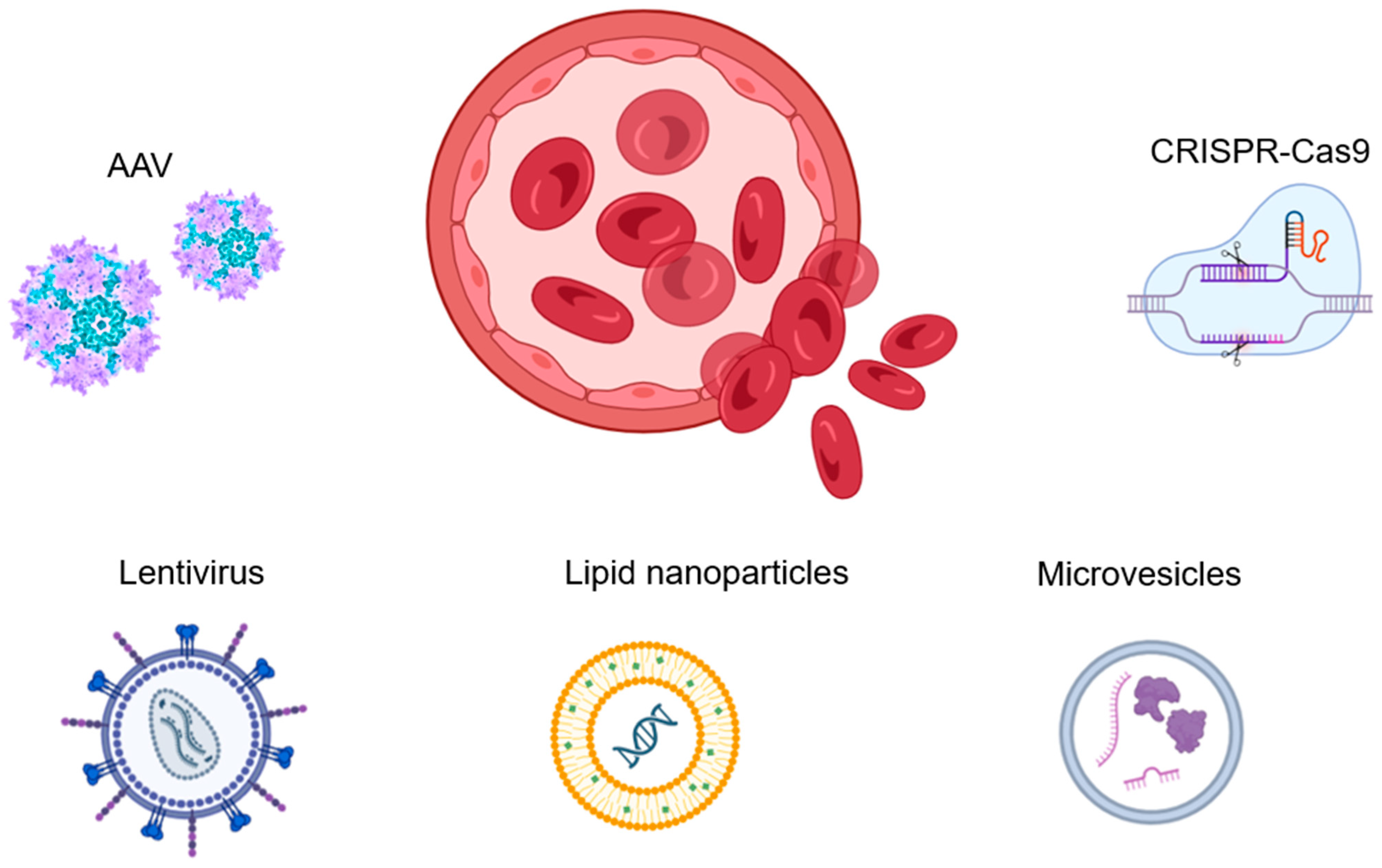 Biomolecules 14 00854 g003 Biomolecules 14 00854 g003