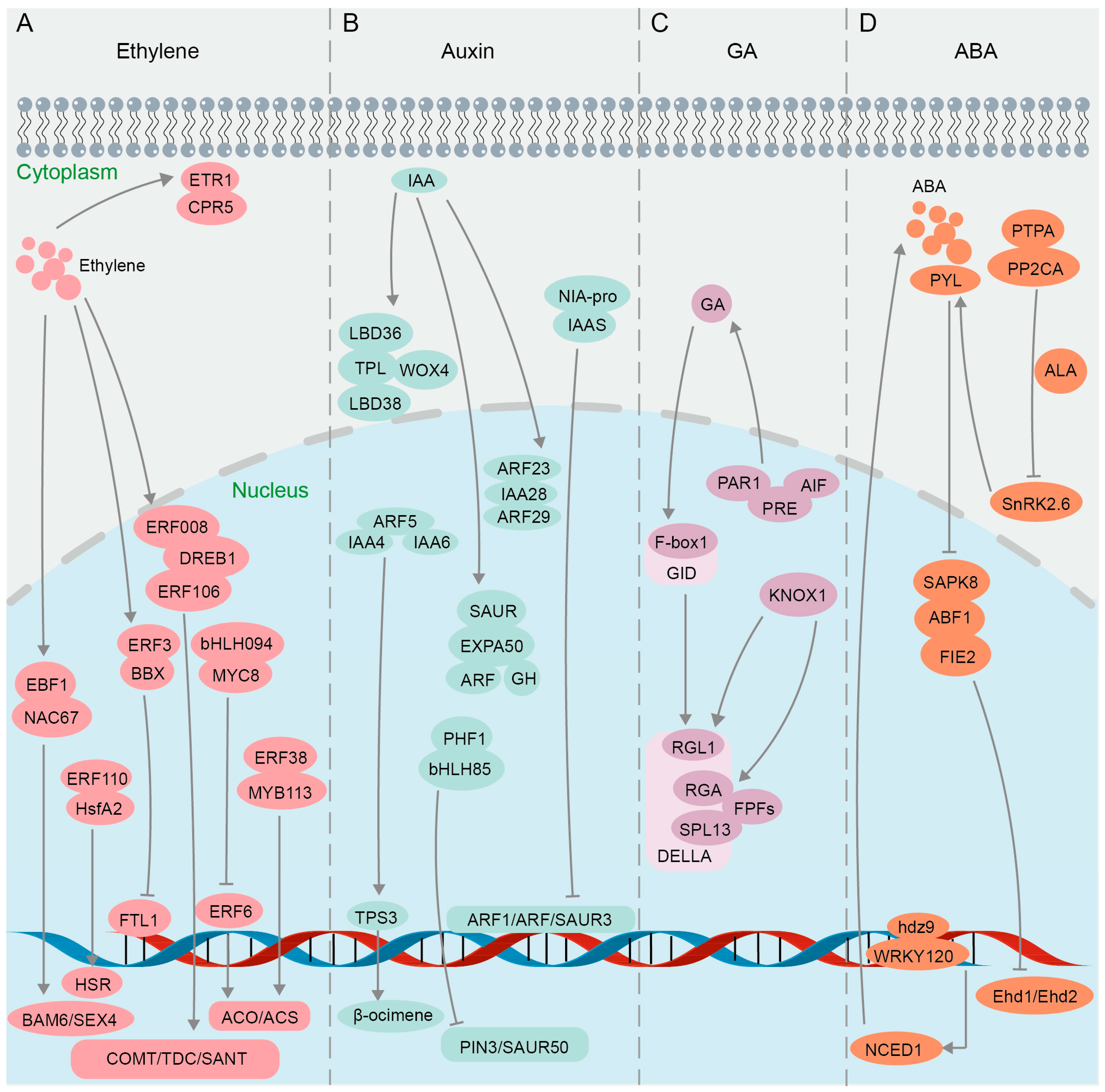 Biomolecules 14 00859 g004 Biomolecules 14 00859 g004
