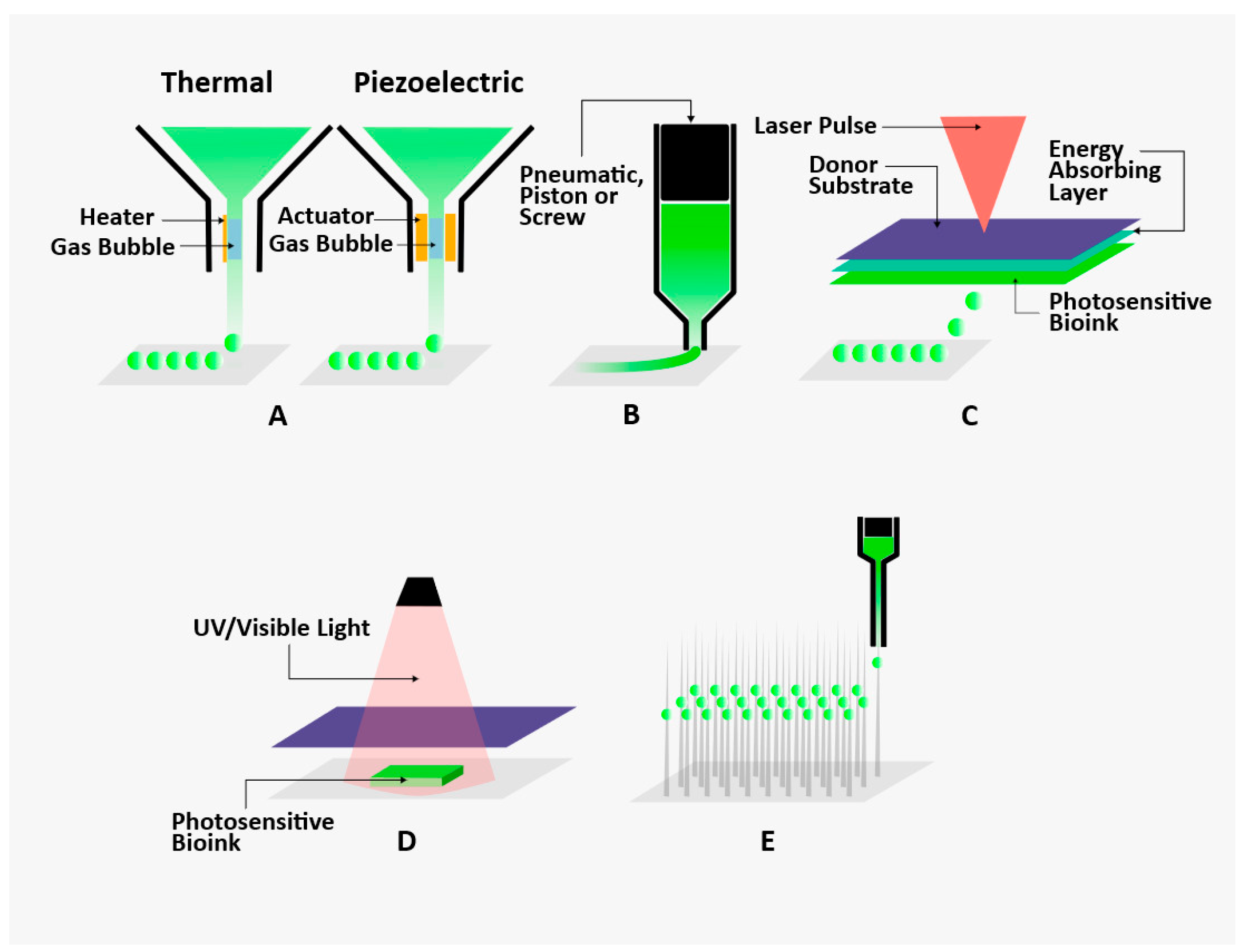 Biomolecules 14 00861 g002