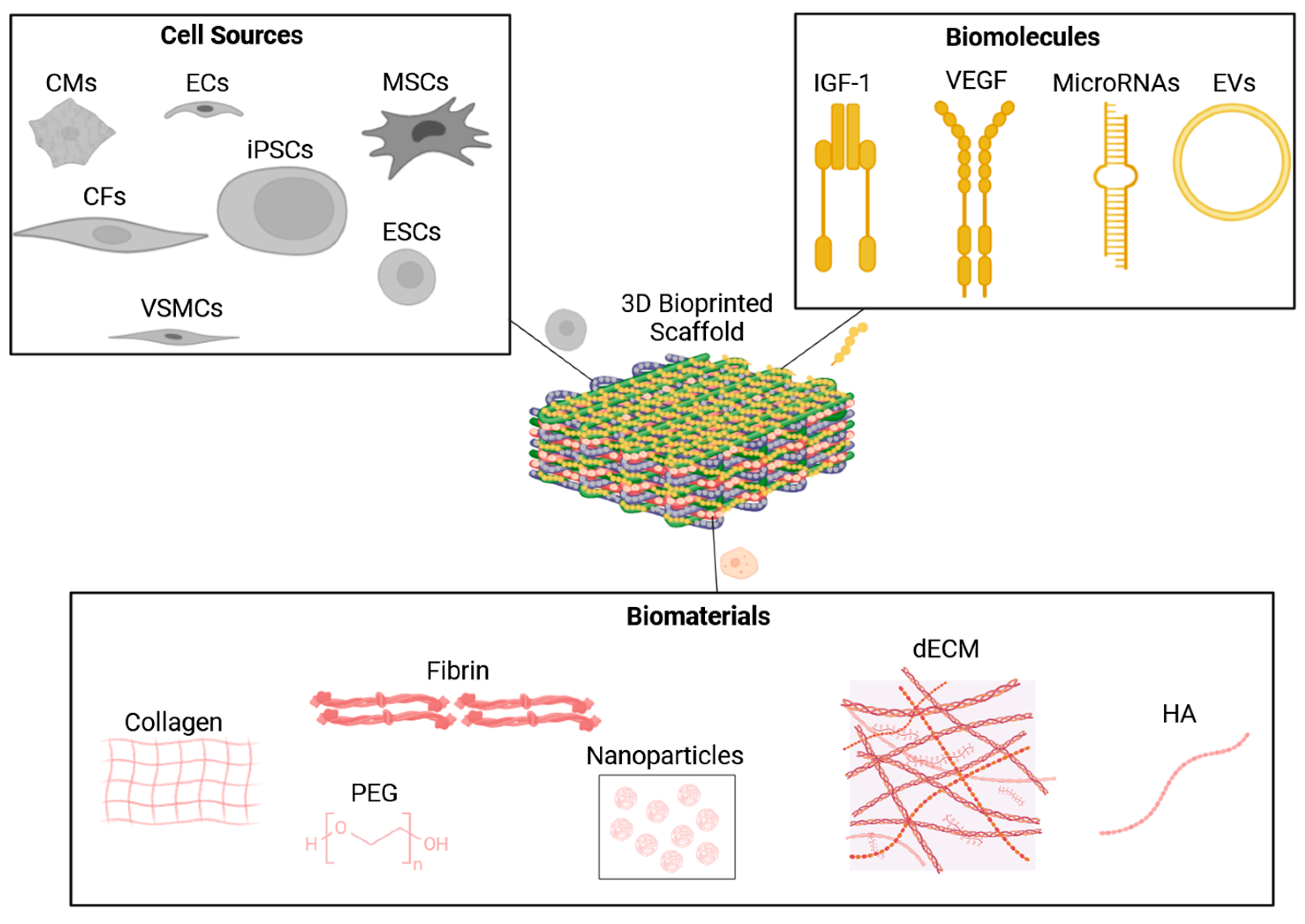Biomolecules 14 00861 g003
