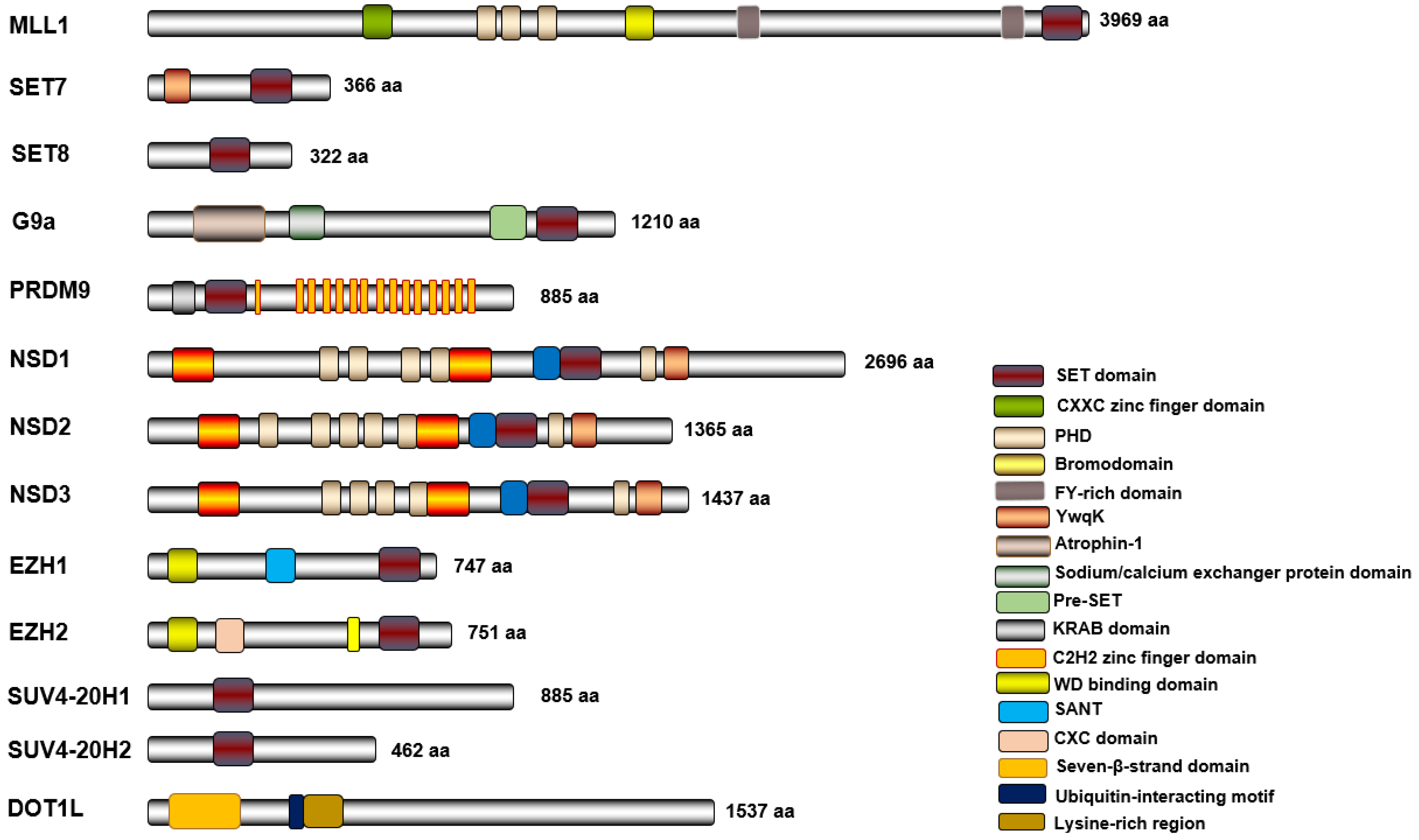 Biomolecules 14 00862 g002
