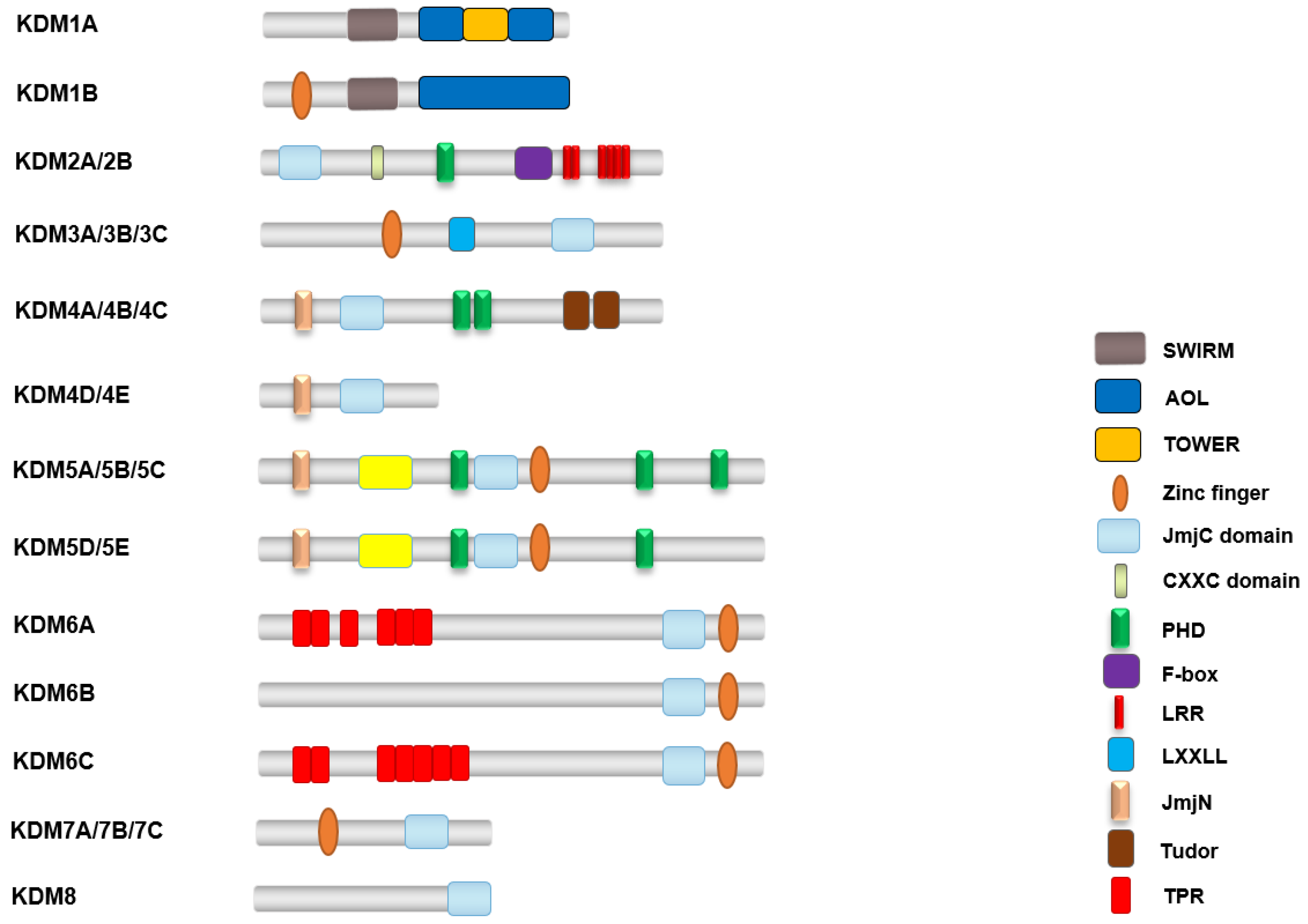 Biomolecules 14 00862 g003