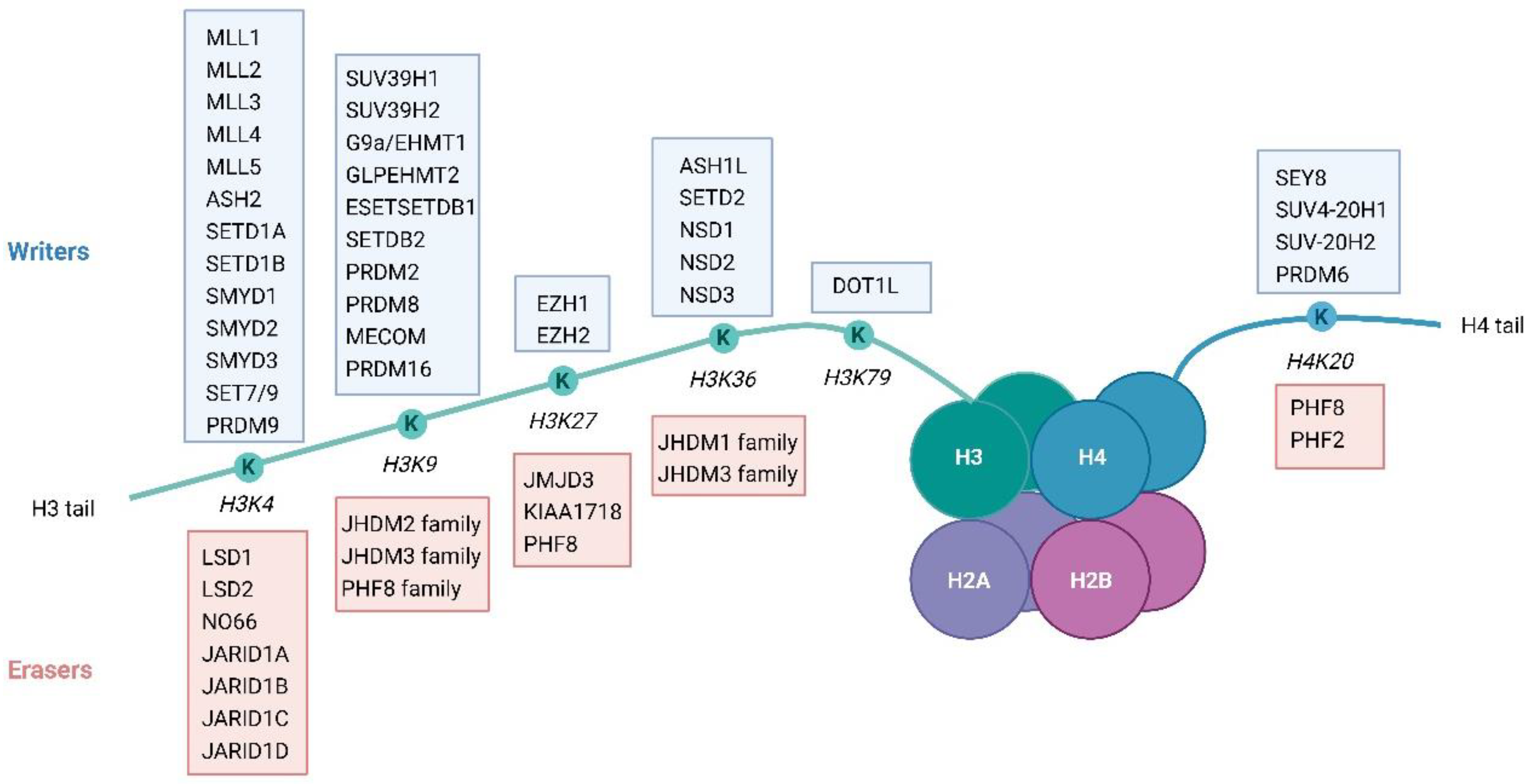 Biomolecules 14 00862 g004