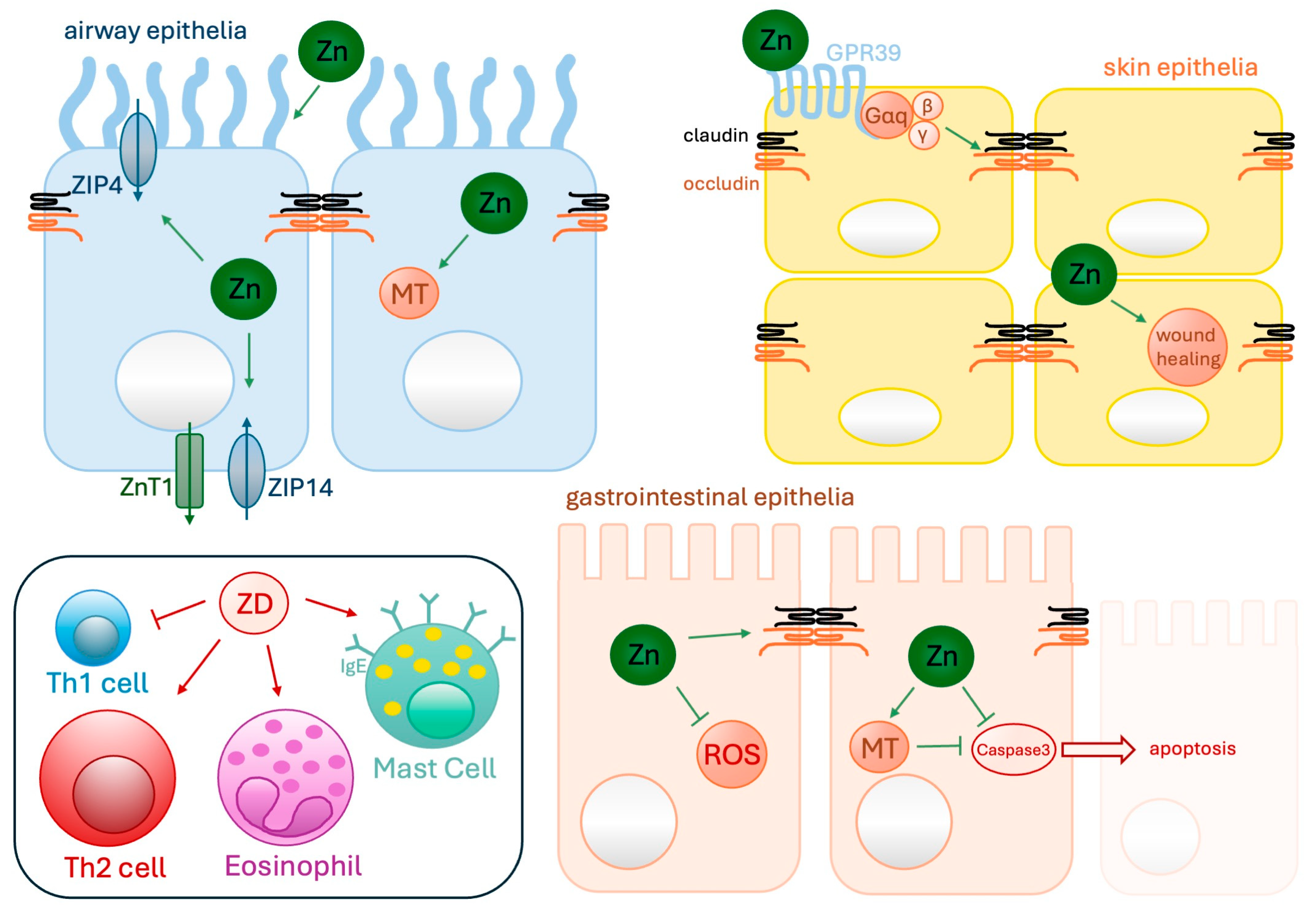 Biomolecules 14 00863 g001