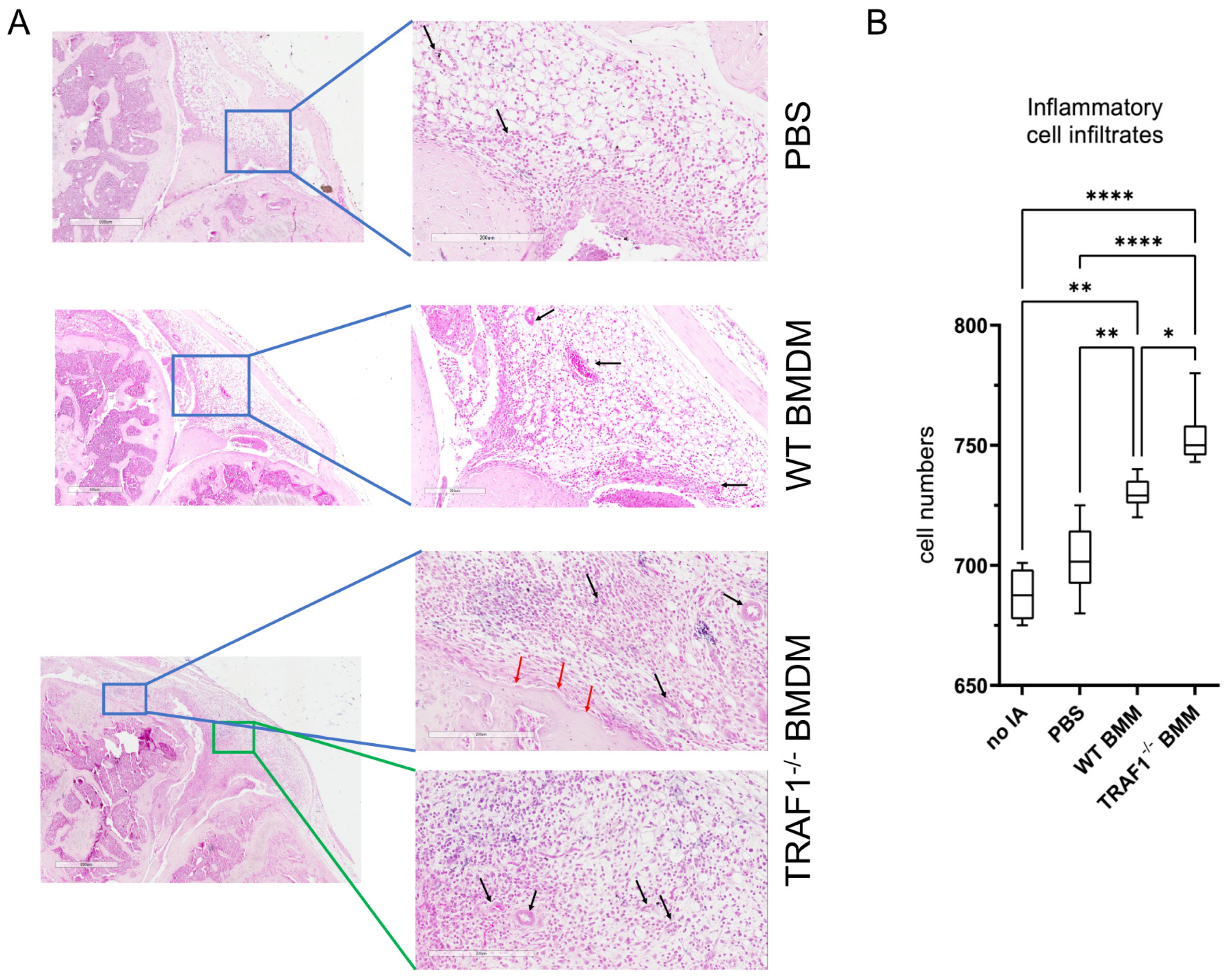 Biomolecules 14 00864 g003