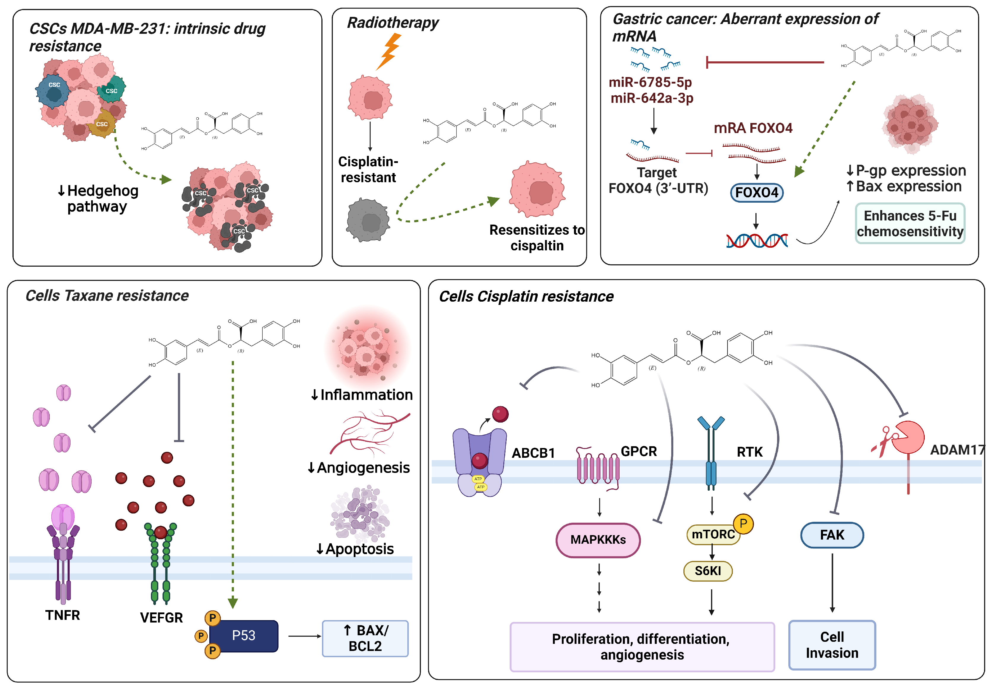 Biomolecules 14 00867 g004