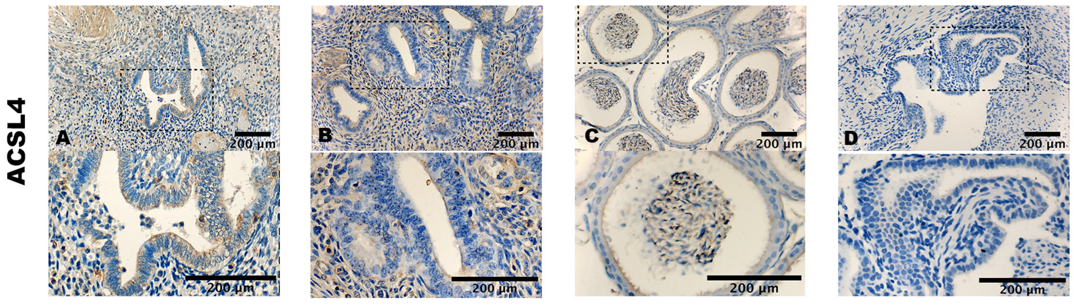 Biomolecules 14 00876 g002 Biomolecules 14 00876 g002