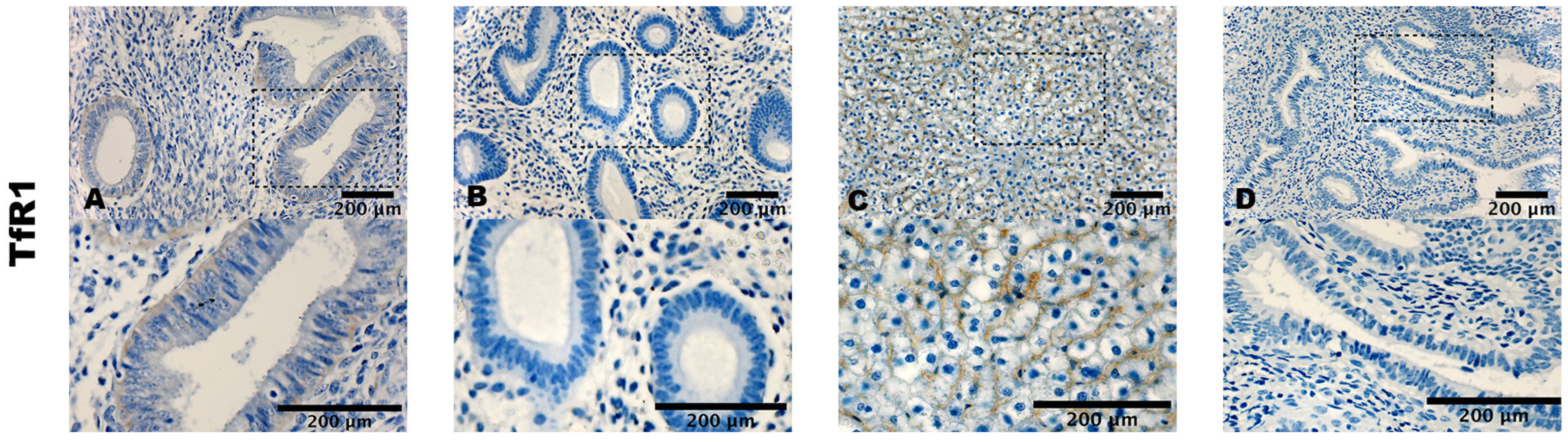 Biomolecules 14 00876 g003 Biomolecules 14 00876 g003