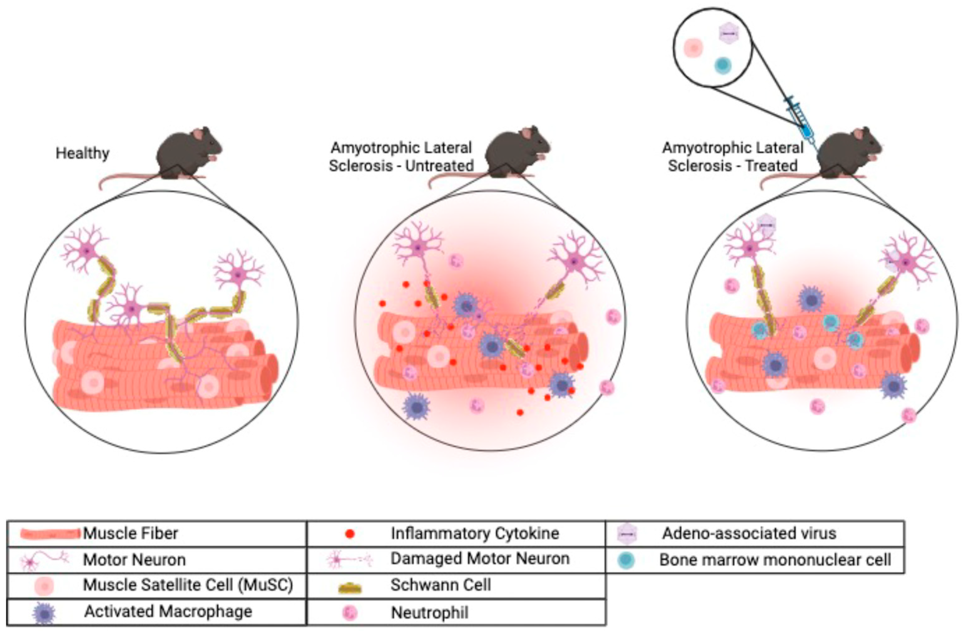 Biomolecules 14 00878 g001