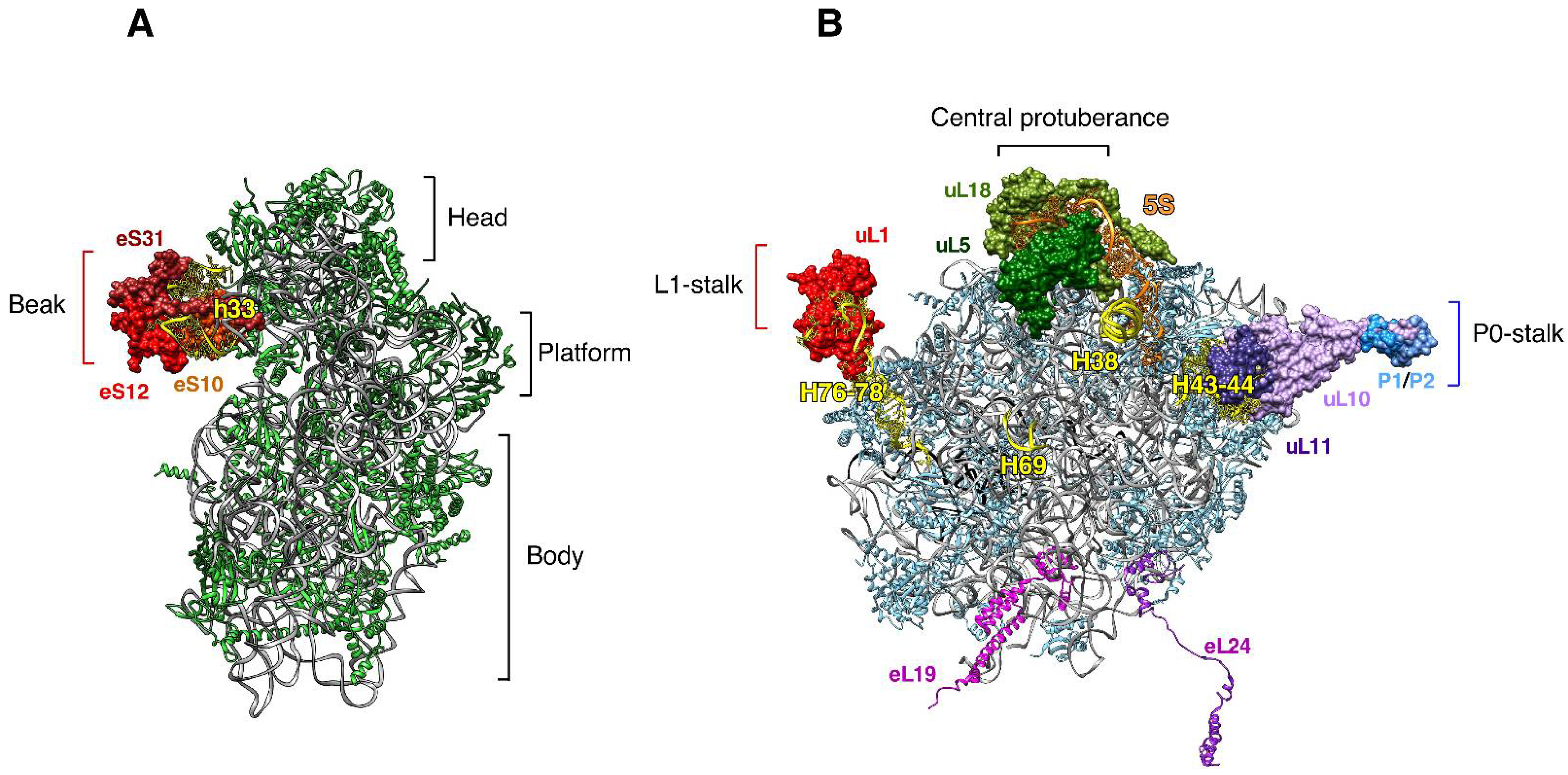 Biomolecules 14 00882 g001 Biomolecules 14 00882 g001