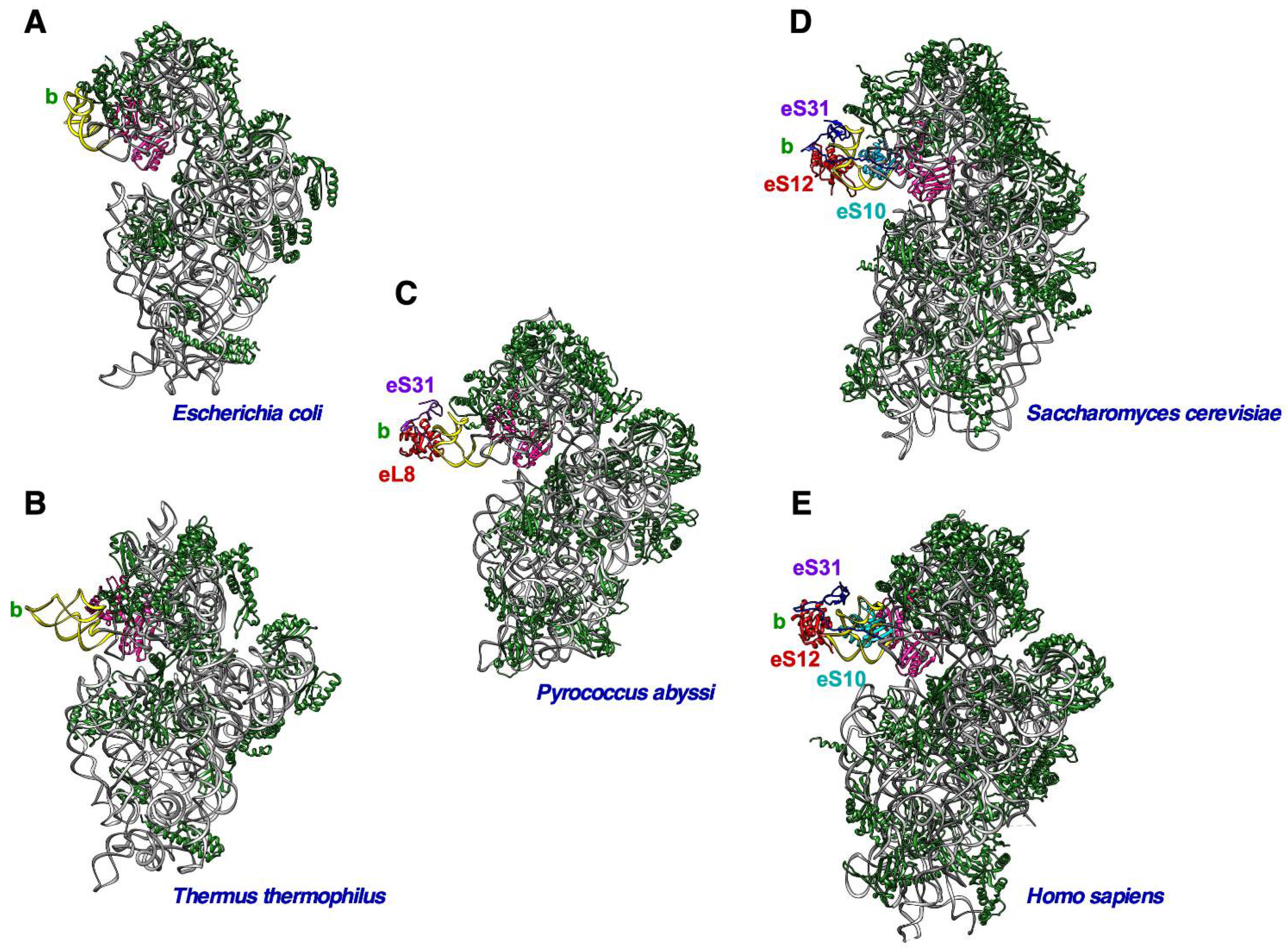 Biomolecules 14 00882 g002 Biomolecules 14 00882 g002