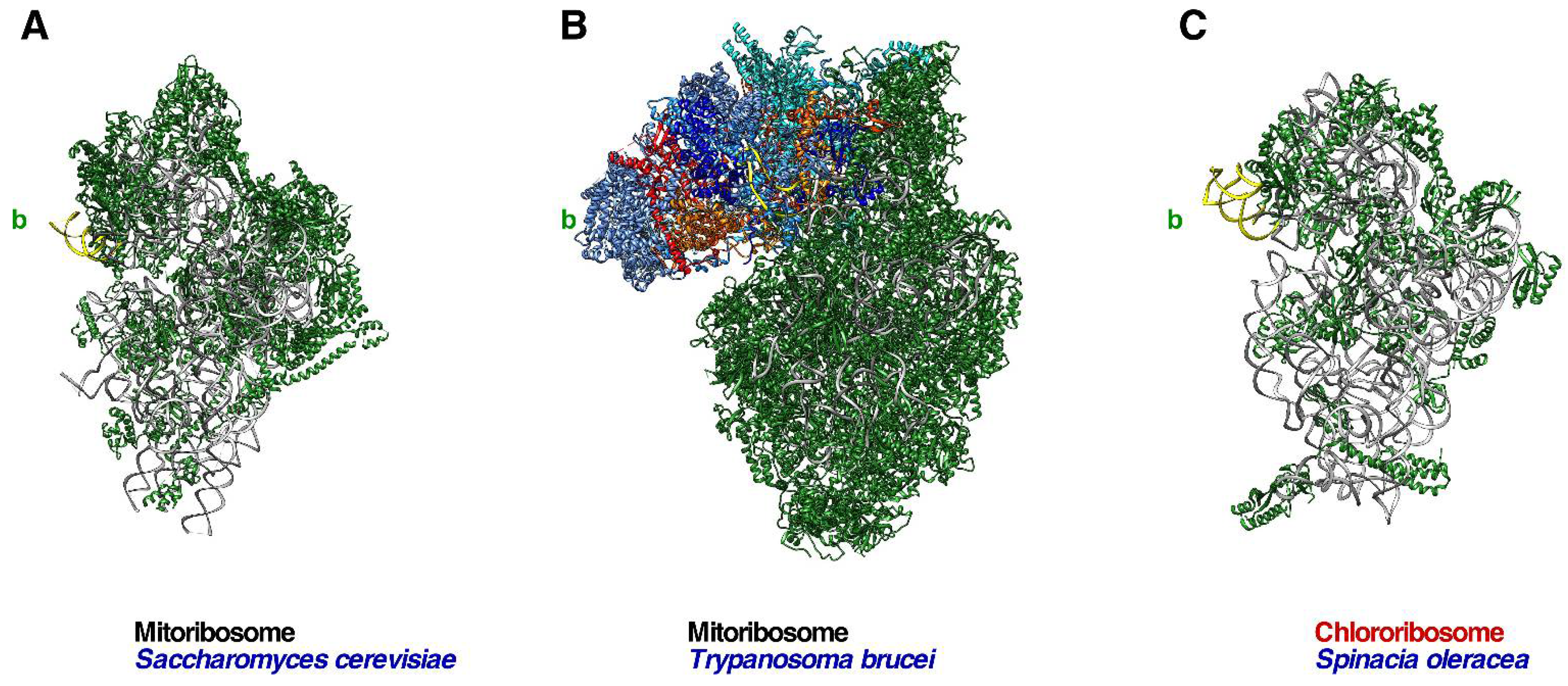 Biomolecules 14 00882 g003 Biomolecules 14 00882 g003
