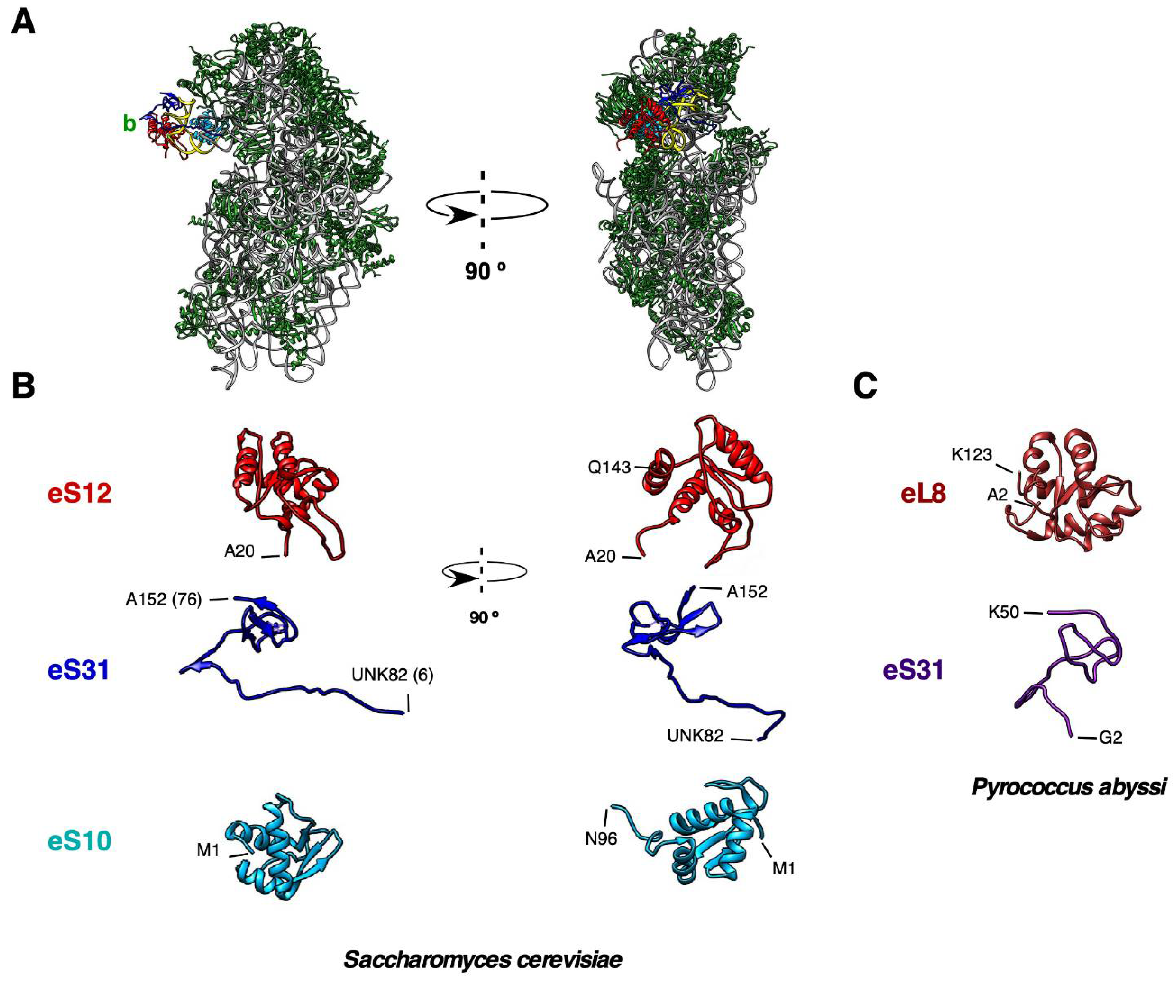 Biomolecules 14 00882 g004 Biomolecules 14 00882 g004