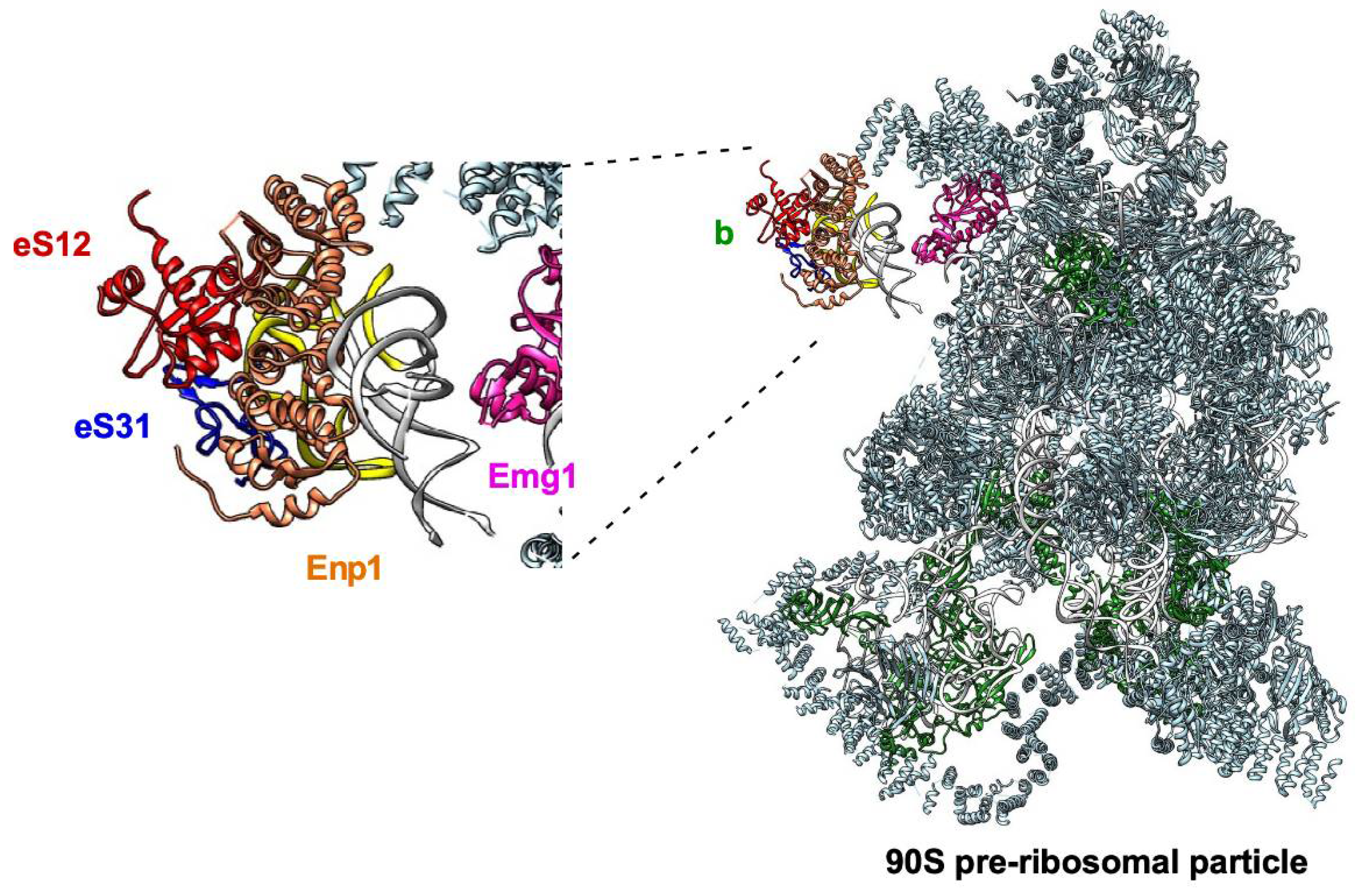 Biomolecules 14 00882 g005 Biomolecules 14 00882 g005