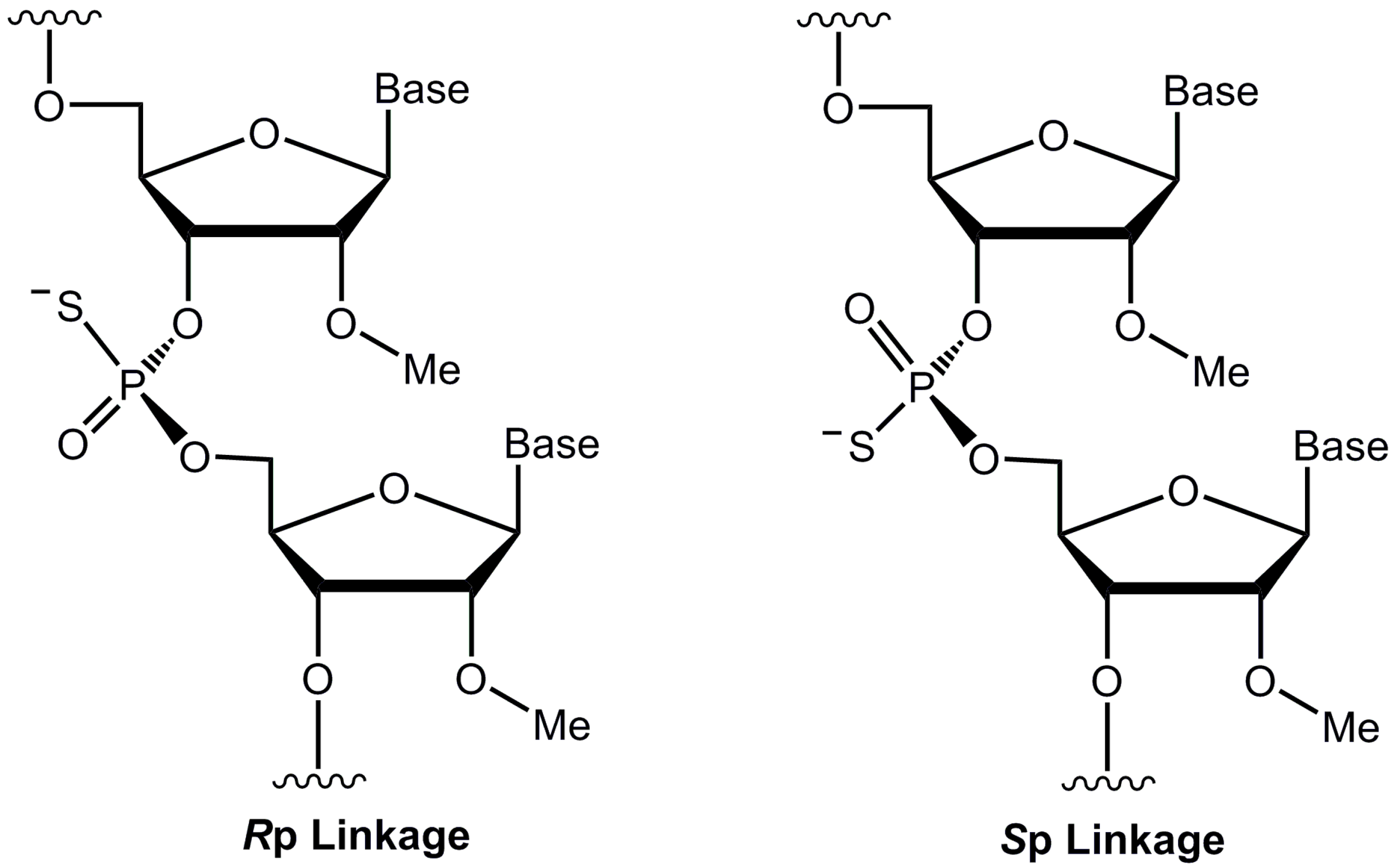 Biomolecules 14 00883 g001