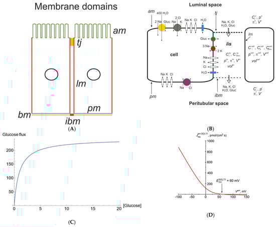Biomolecules 14 00889 g001