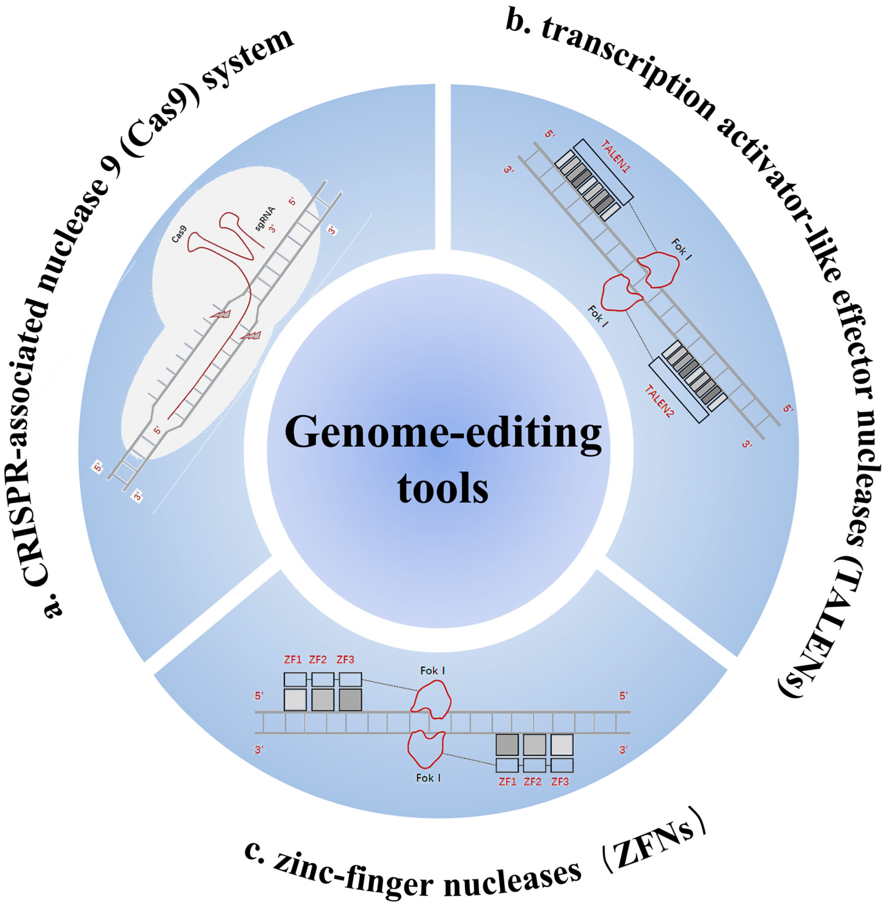 Biomolecules 14 00903 g001