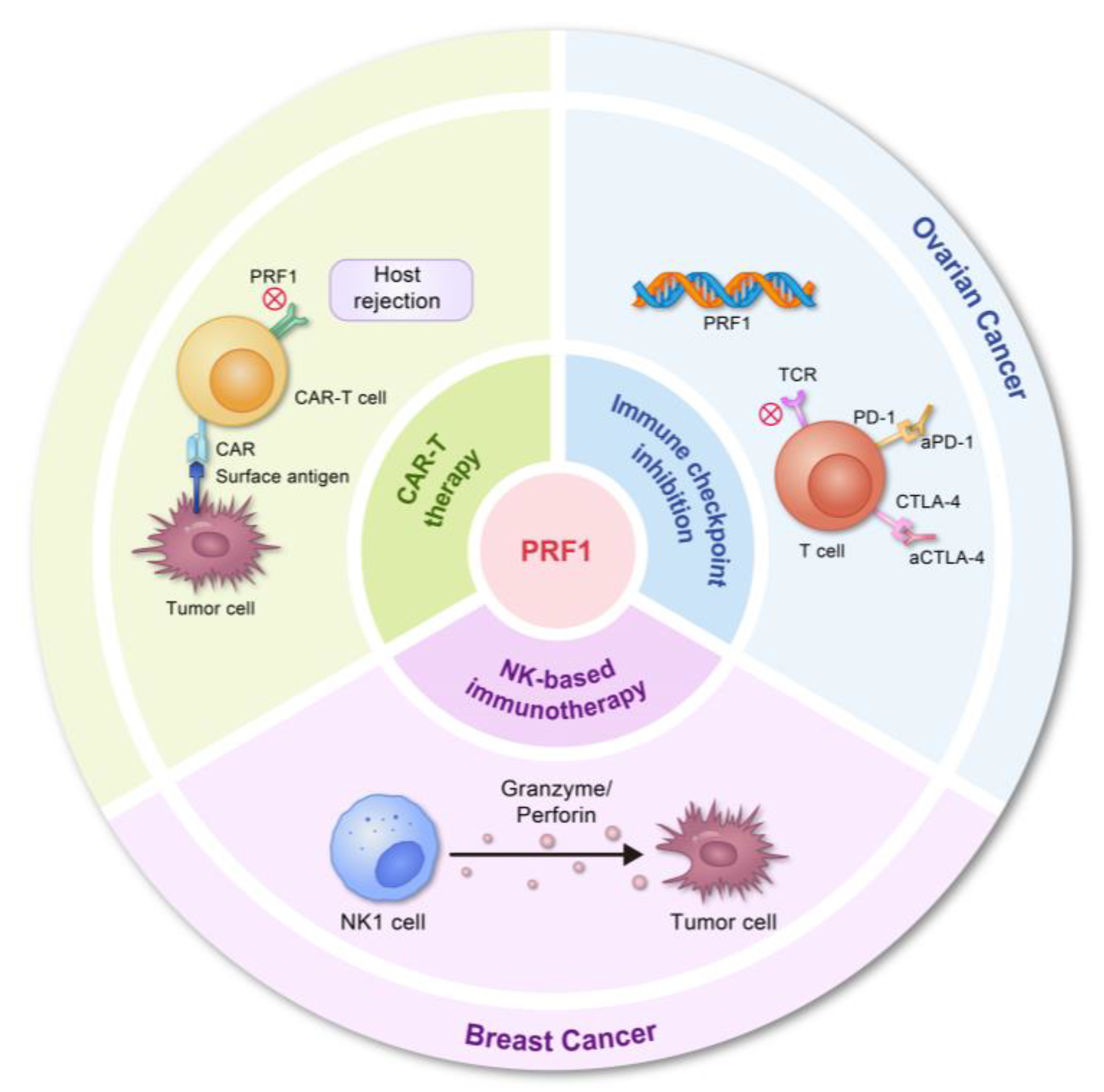 Biomolecules 14 00910 g002