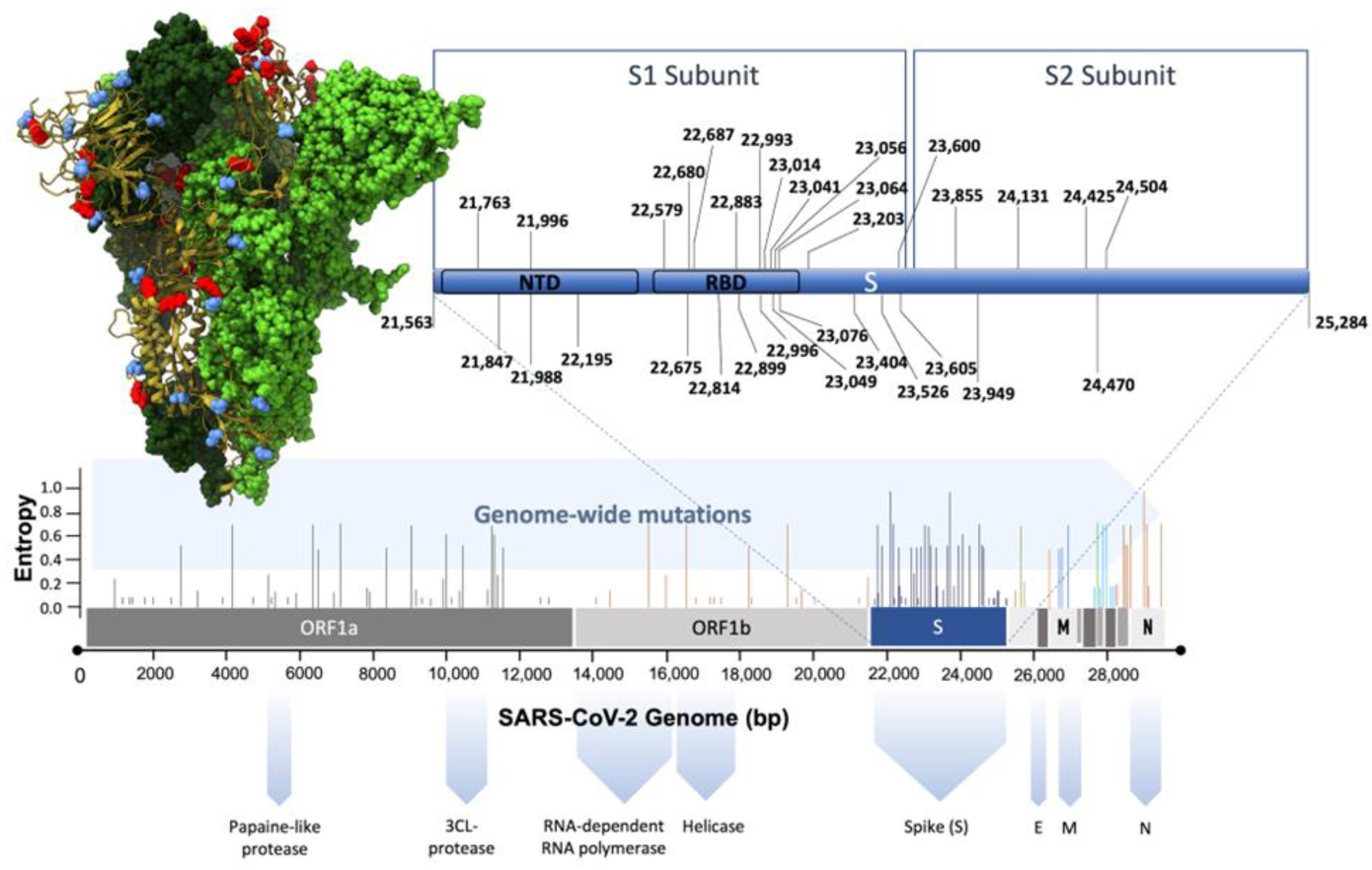 Biomolecules 14 00911 g002 Biomolecules 14 00911 g002